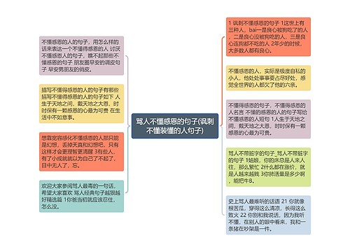 骂人不懂感恩的句子(讽刺不懂装懂的人句子)