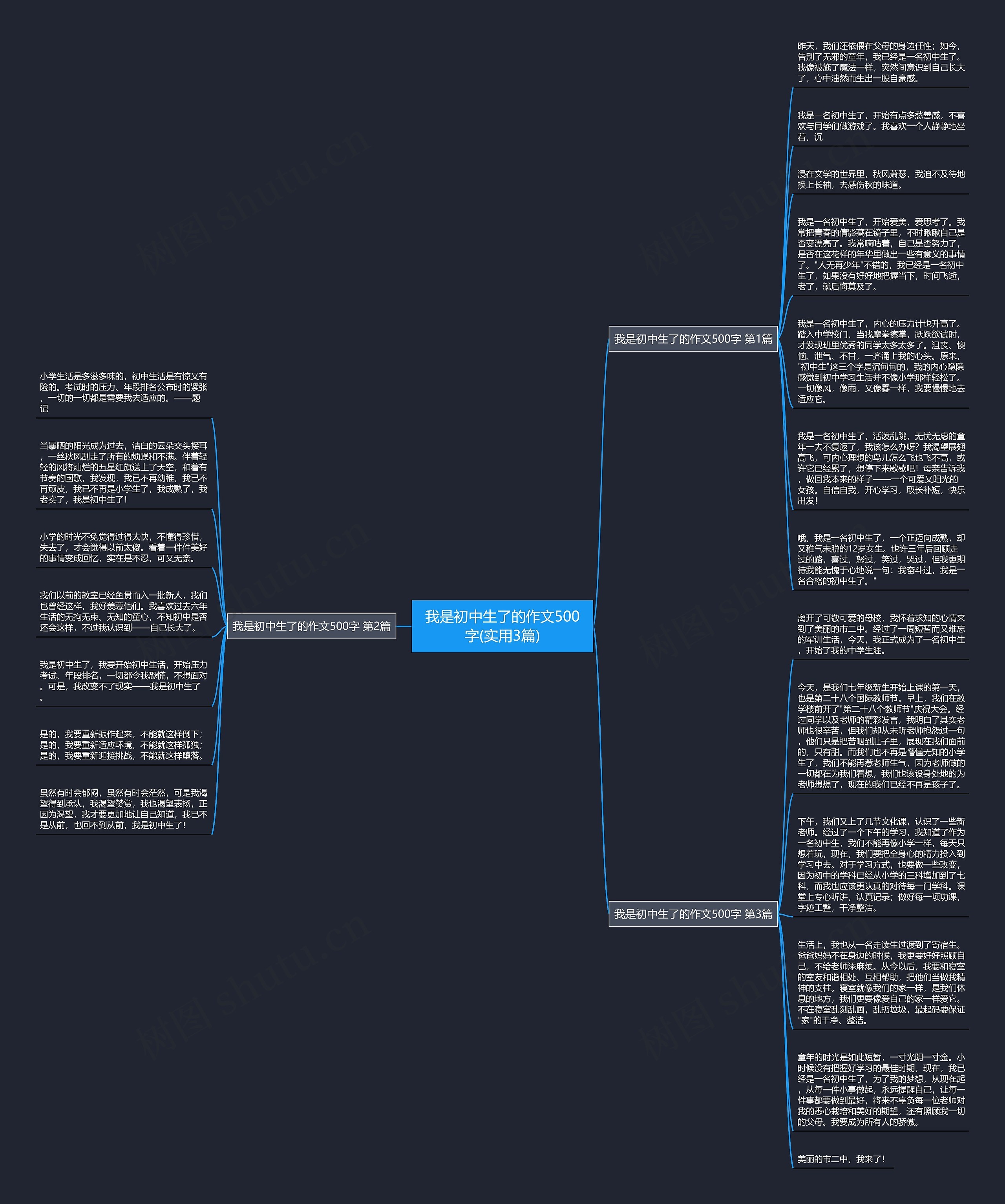 我是初中生了的作文500字(实用3篇)思维导图