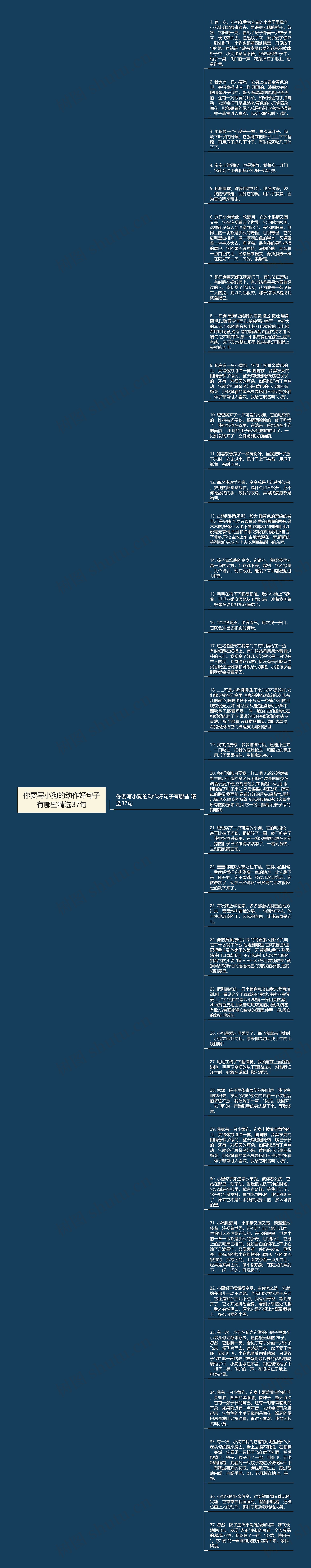 你要写小狗的动作好句子有哪些精选37句