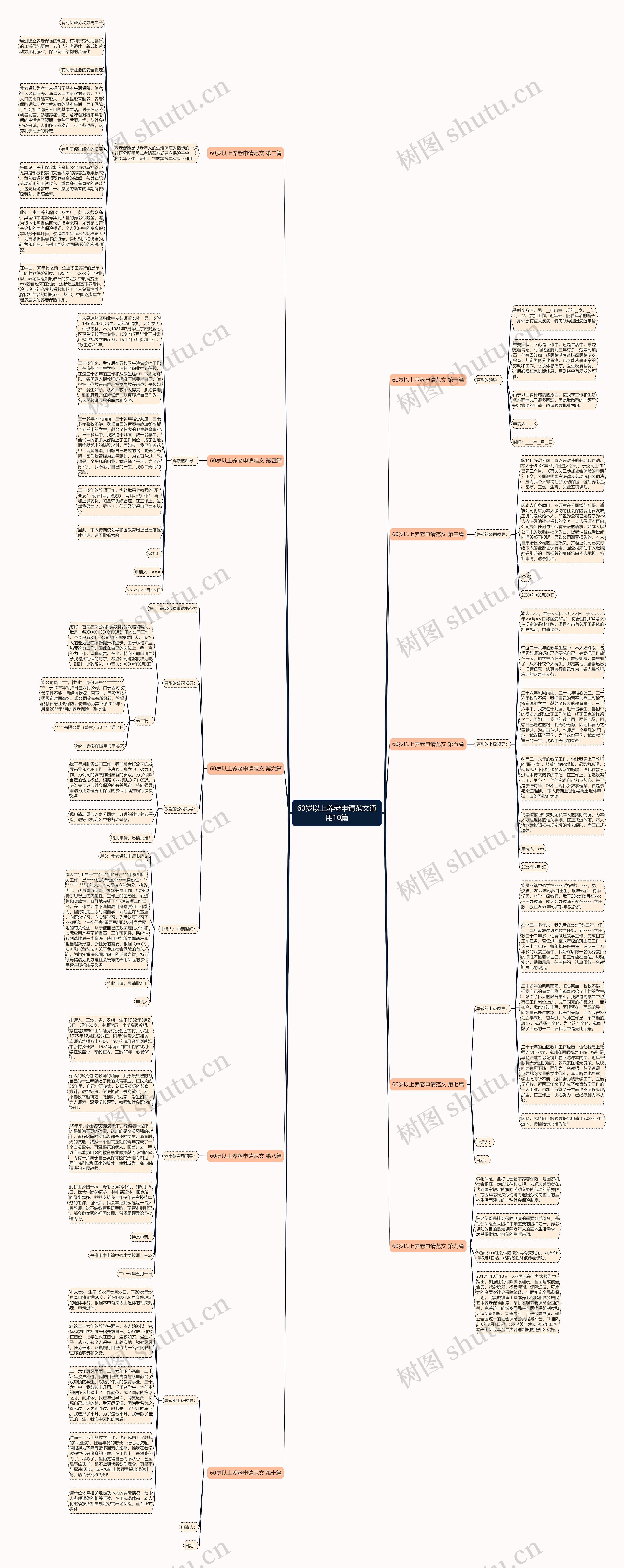 60岁以上养老申请范文通用10篇思维导图