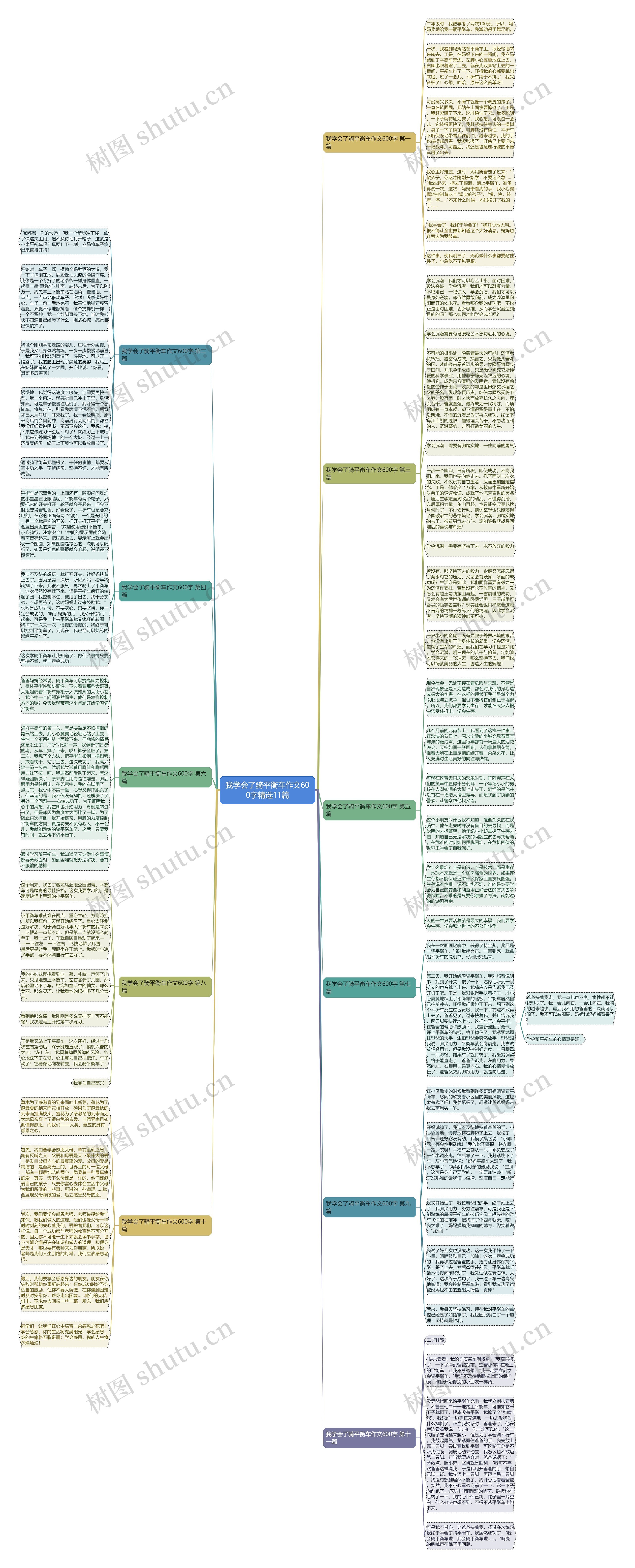 我学会了骑平衡车作文600字精选11篇思维导图