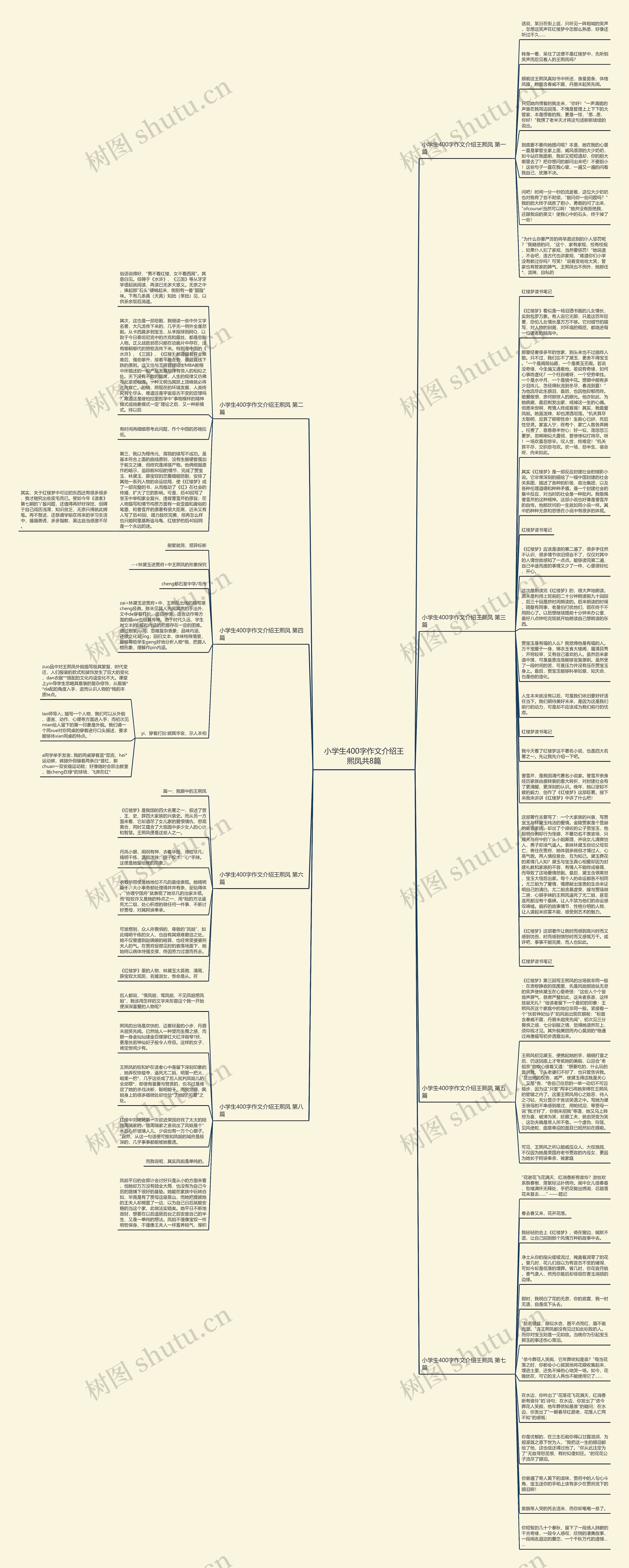 小学生400字作文介绍王熙凤共8篇思维导图
