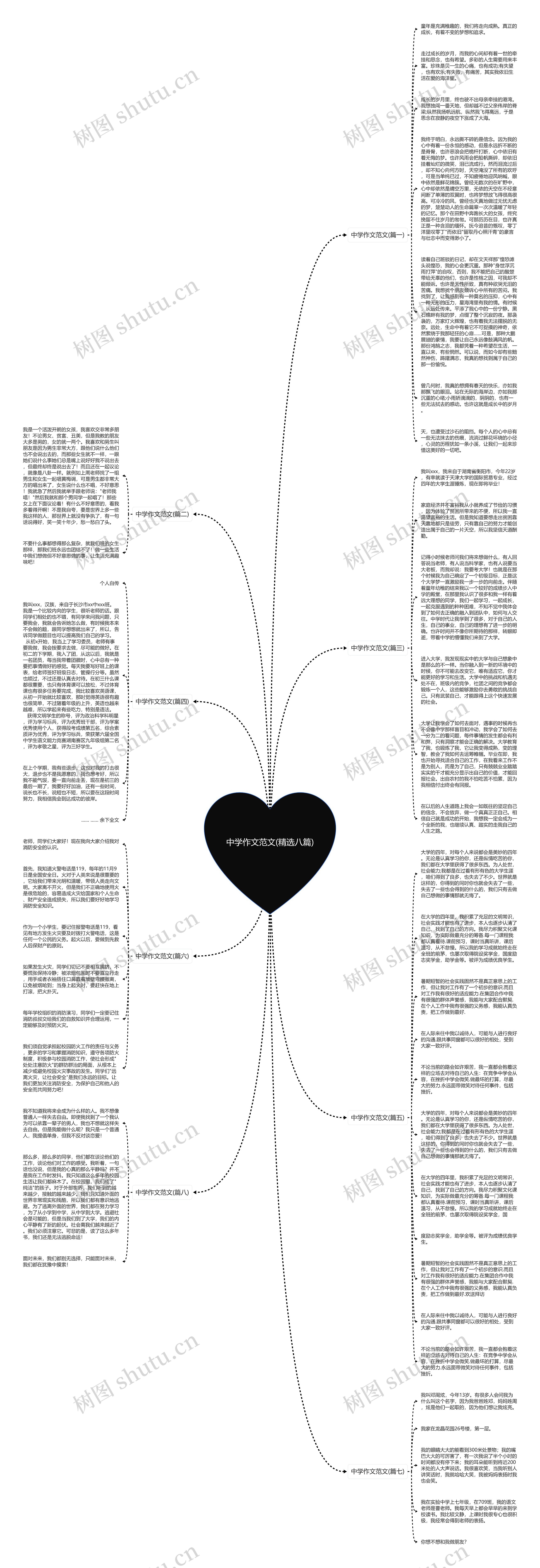 中学作文范文(精选八篇)思维导图