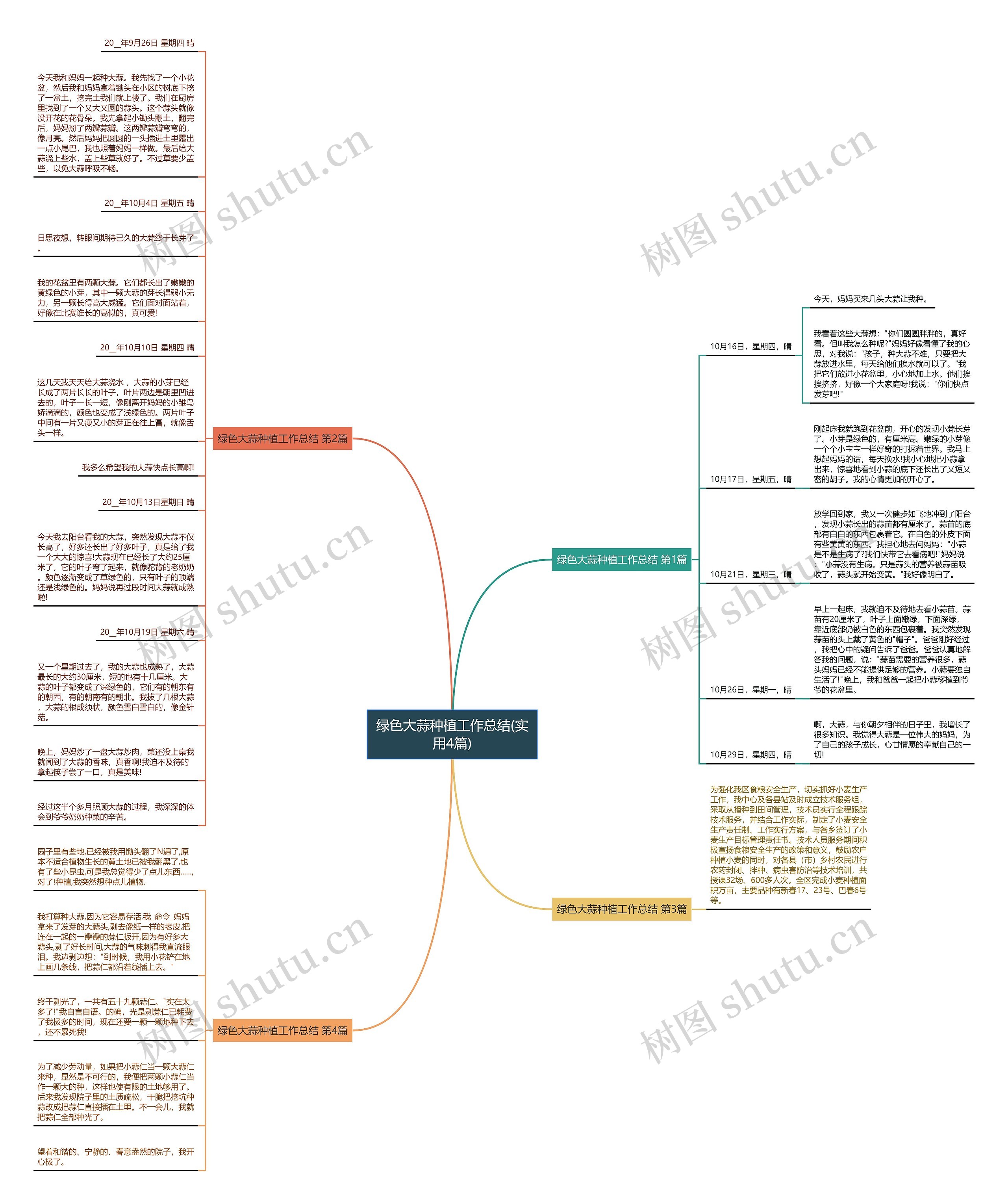 绿色大蒜种植工作总结(实用4篇)思维导图