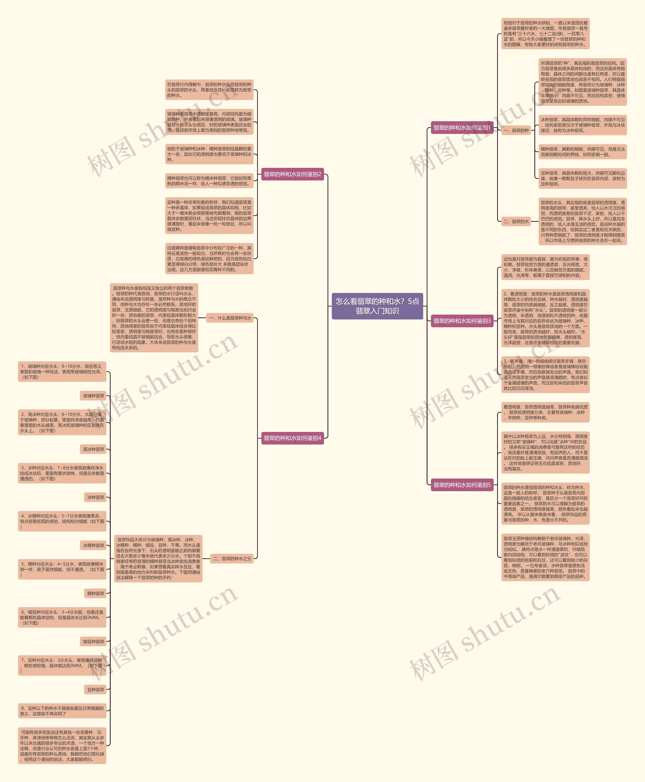 怎么看翡翠的种和水?5点翡翠入门知识 怎么看翡翠的种和水?5点翡翠入门知识