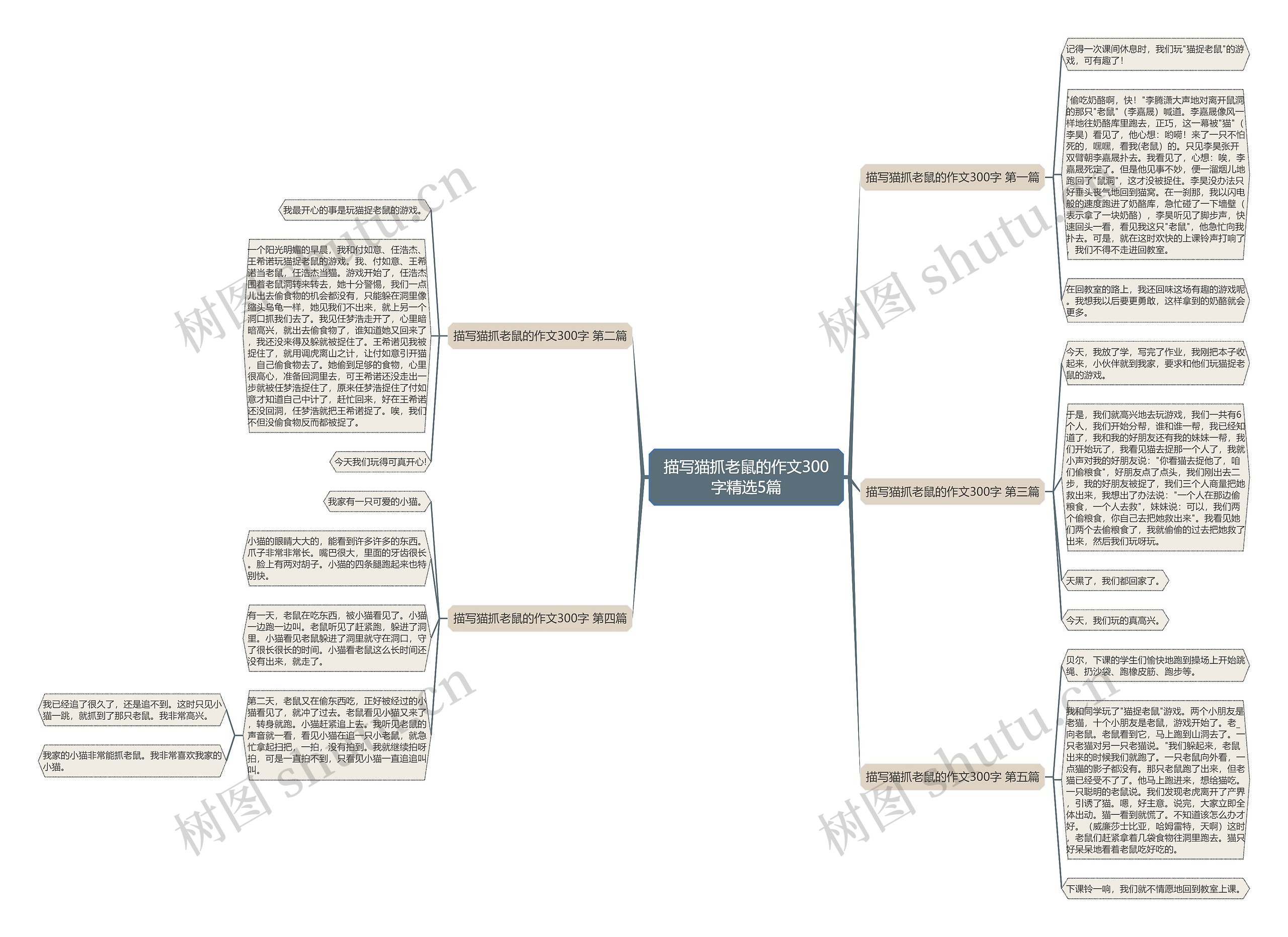 描写猫抓老鼠的作文300字精选5篇思维导图