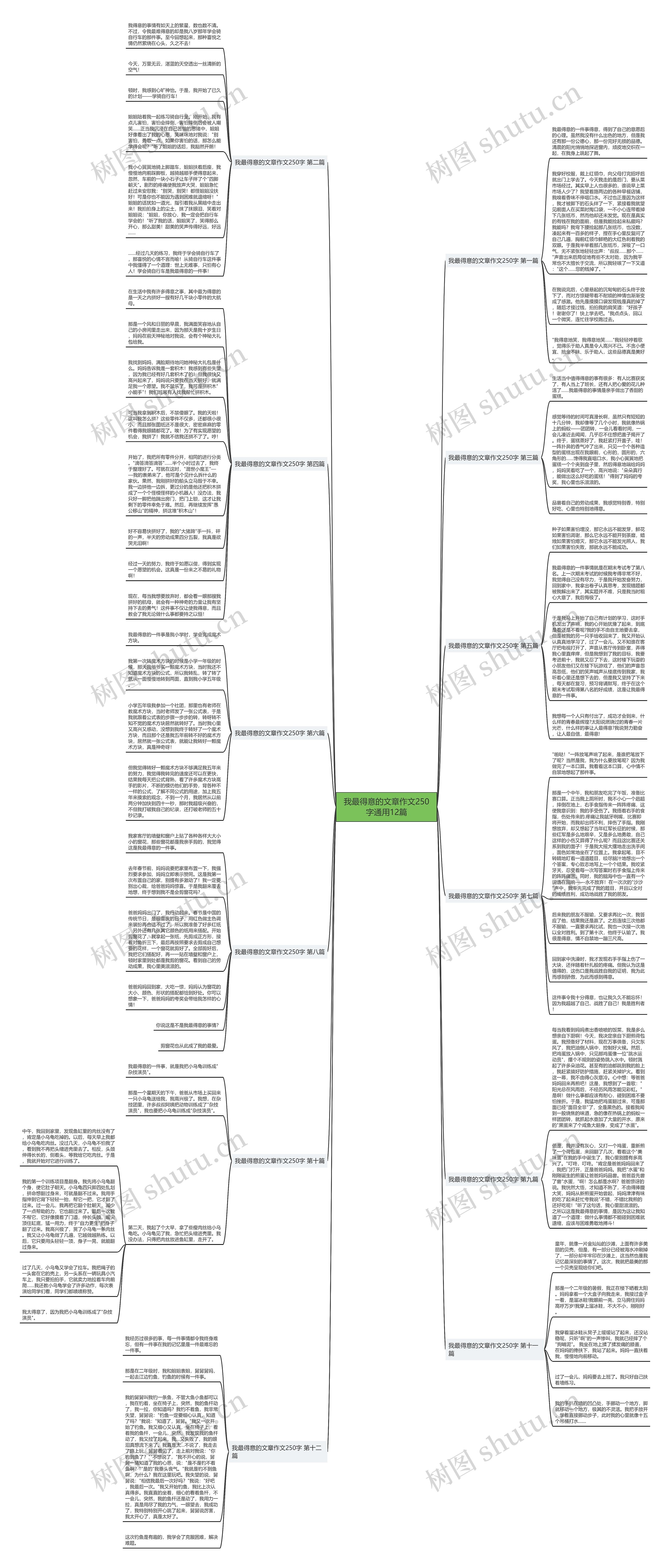 我最得意的文章作文250字通用12篇思维导图