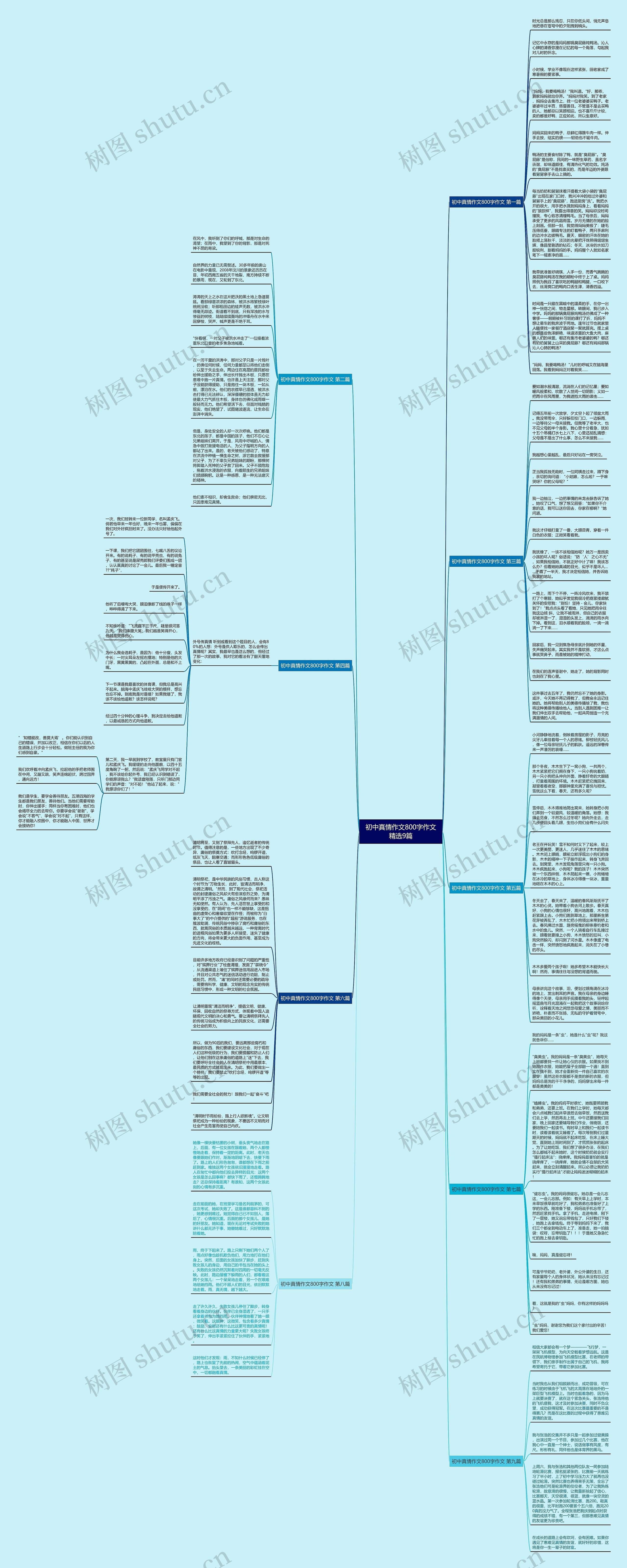 初中真情作文800字作文精选9篇思维导图