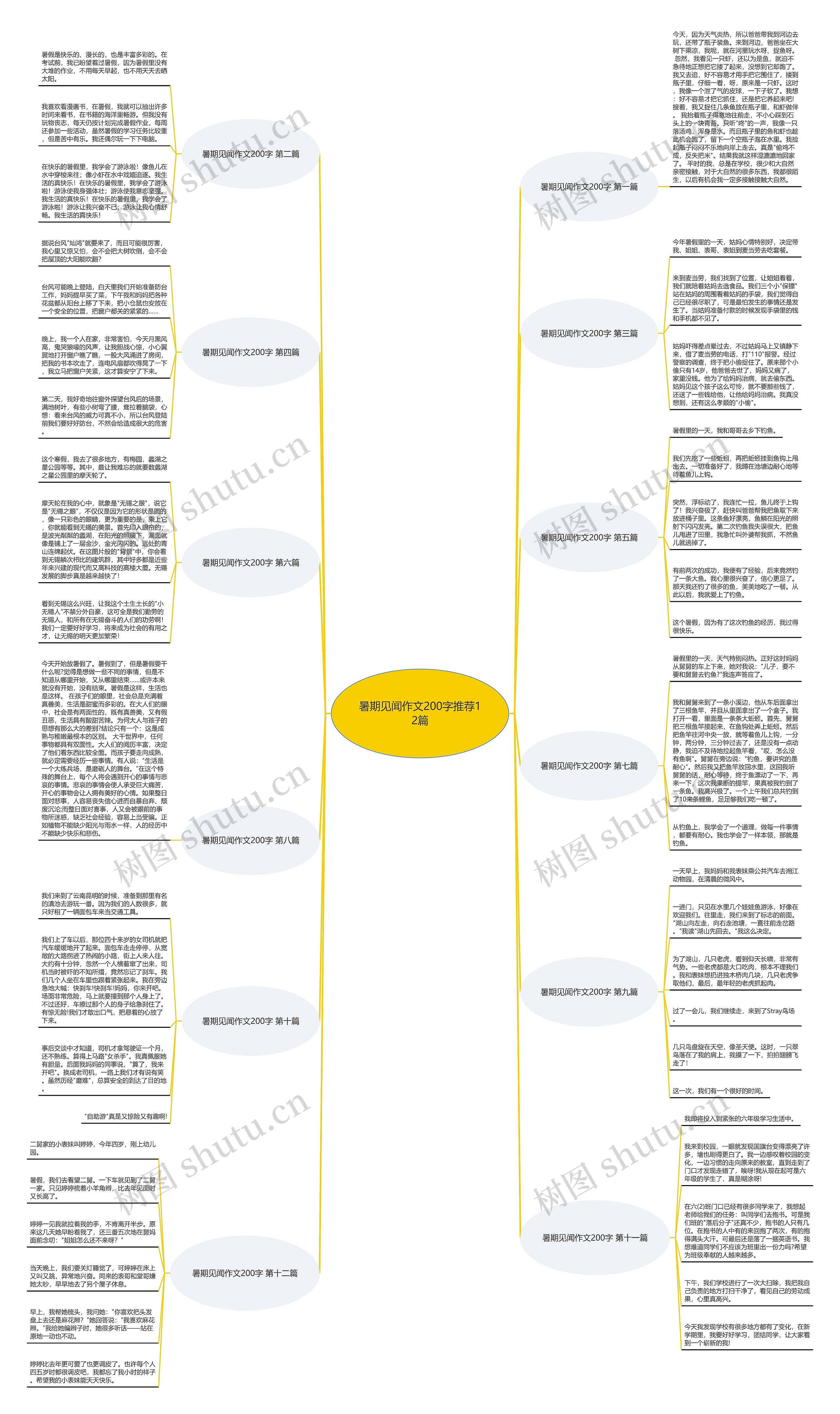 暑期见闻作文200字推荐12篇思维导图