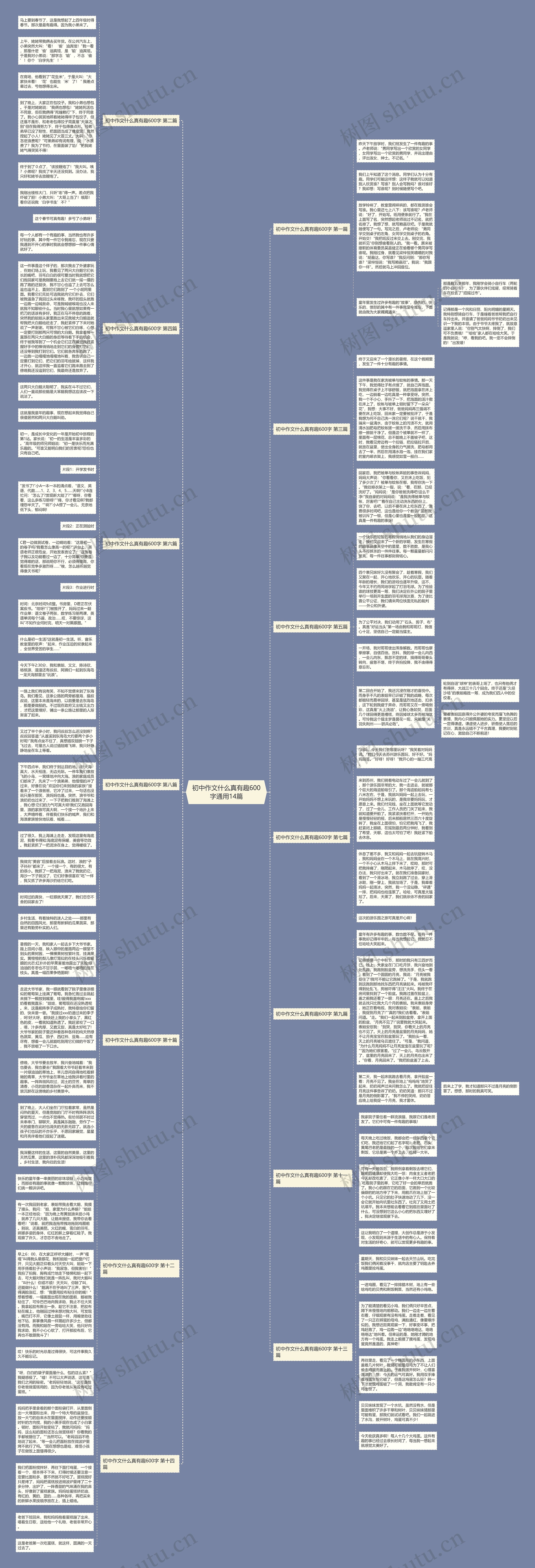 初中作文什么真有趣600字通用14篇思维导图