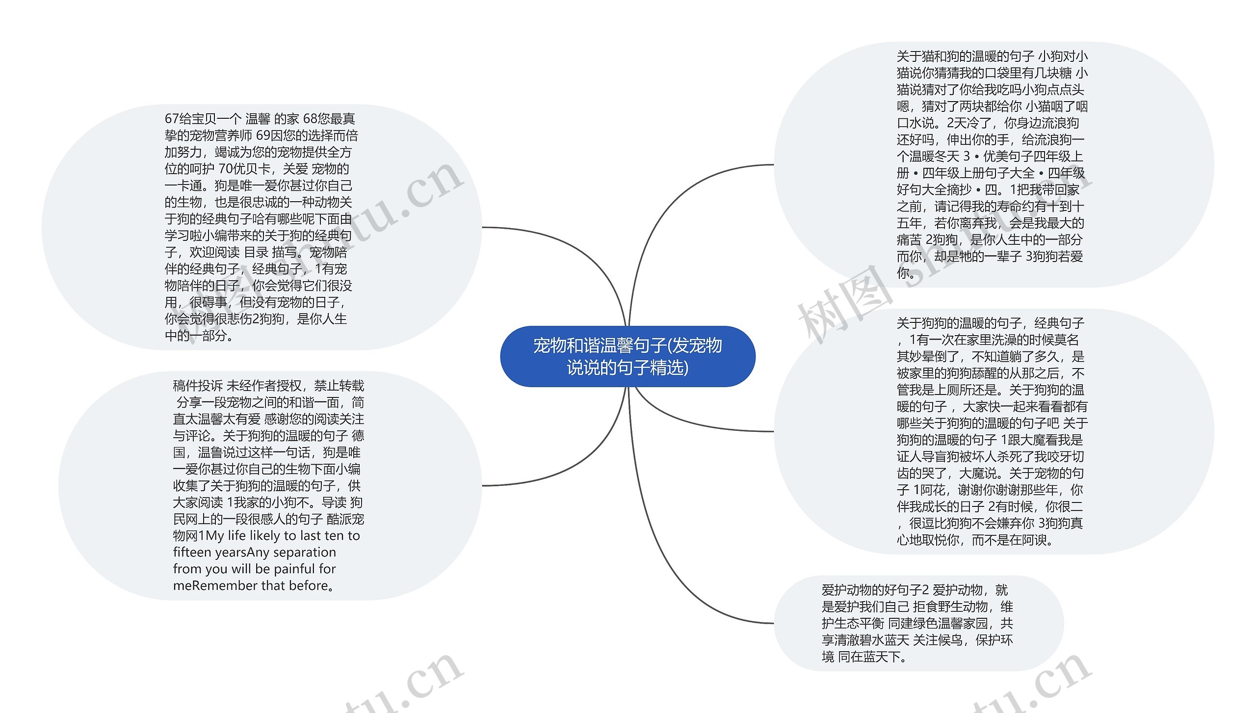 宠物和谐温馨句子(发宠物说说的句子精选)思维导图