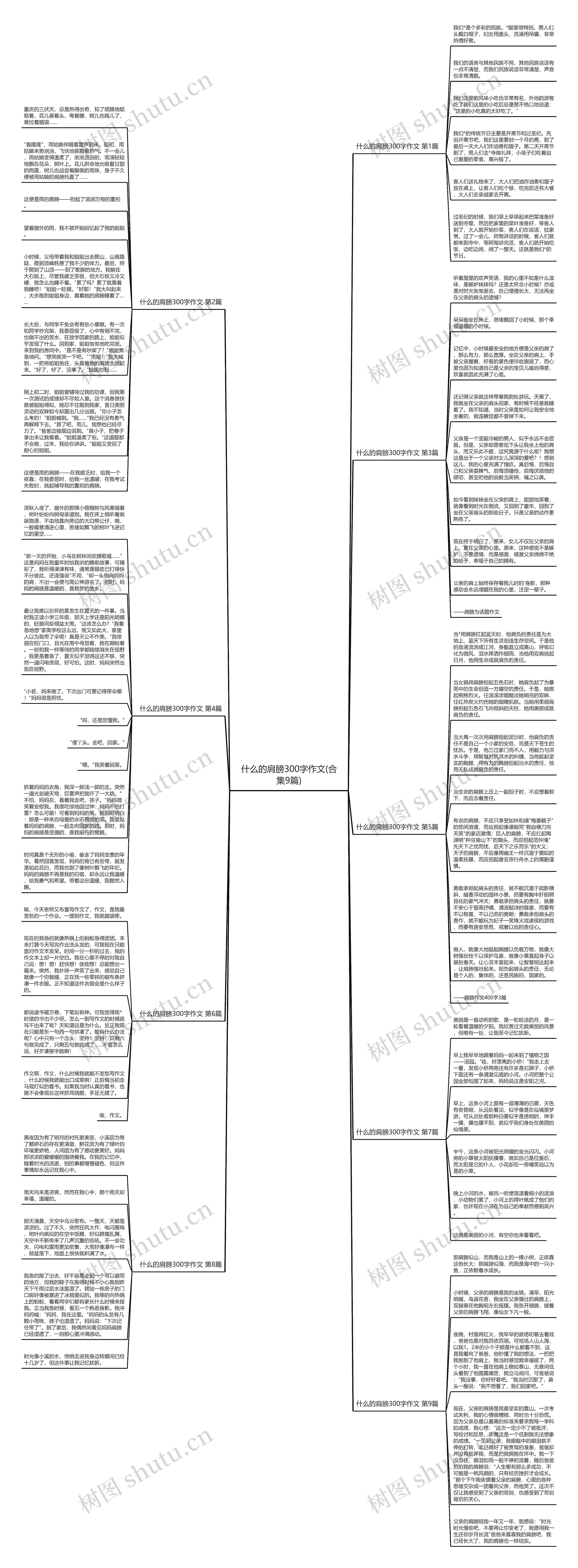 什么的肩膀300字作文(合集9篇)思维导图