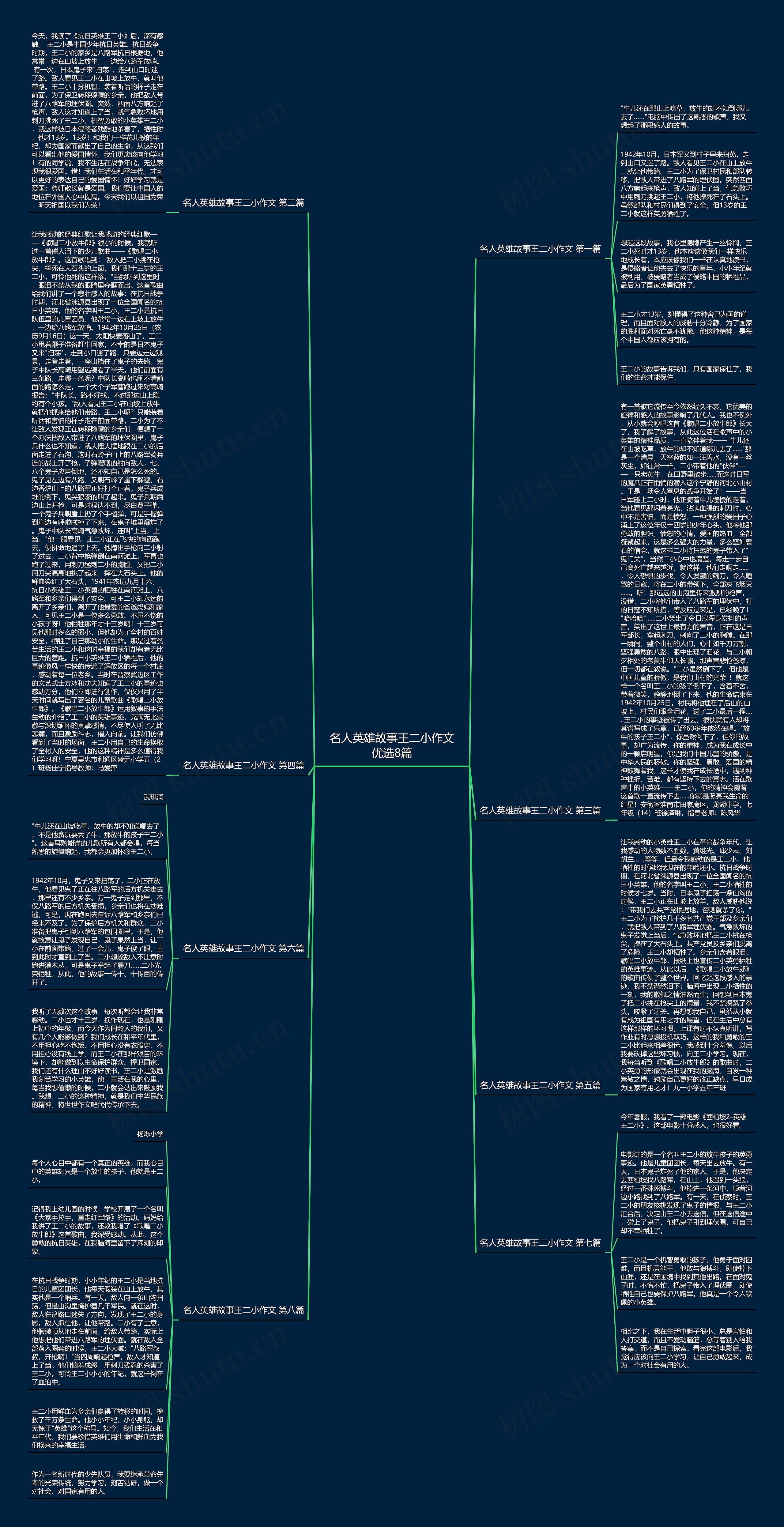 名人英雄故事王二小作文优选8篇思维导图