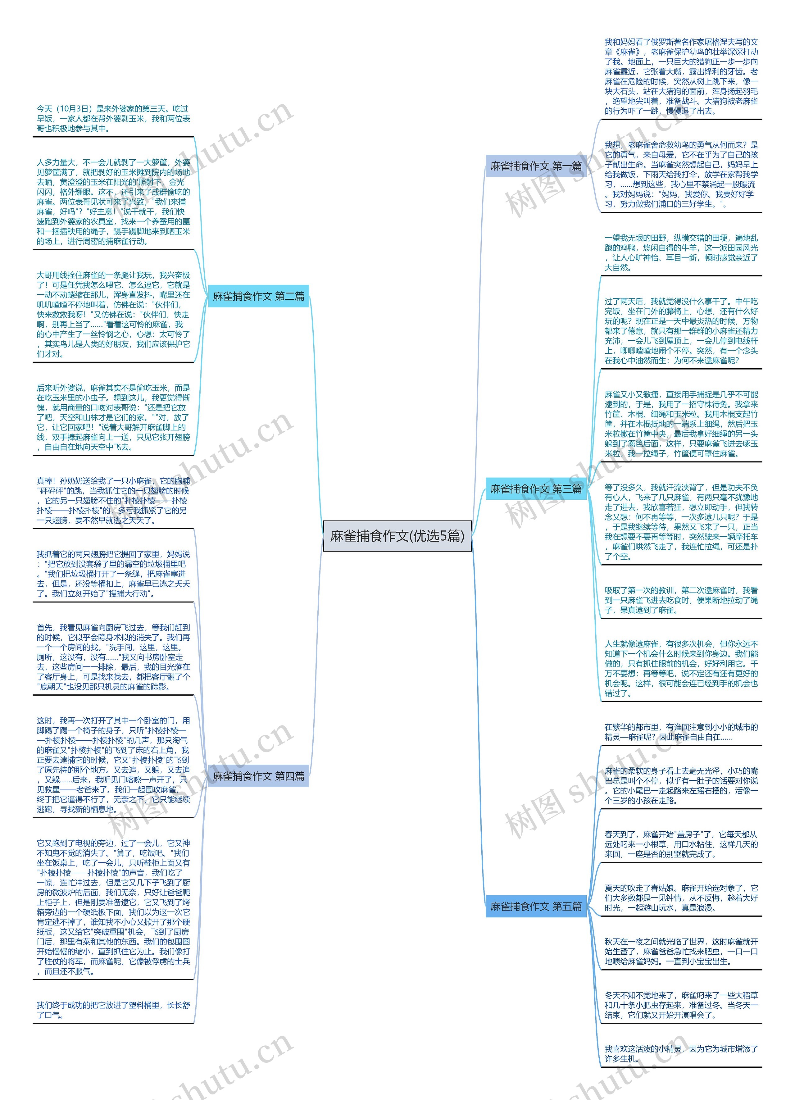 麻雀捕食作文(优选5篇)思维导图