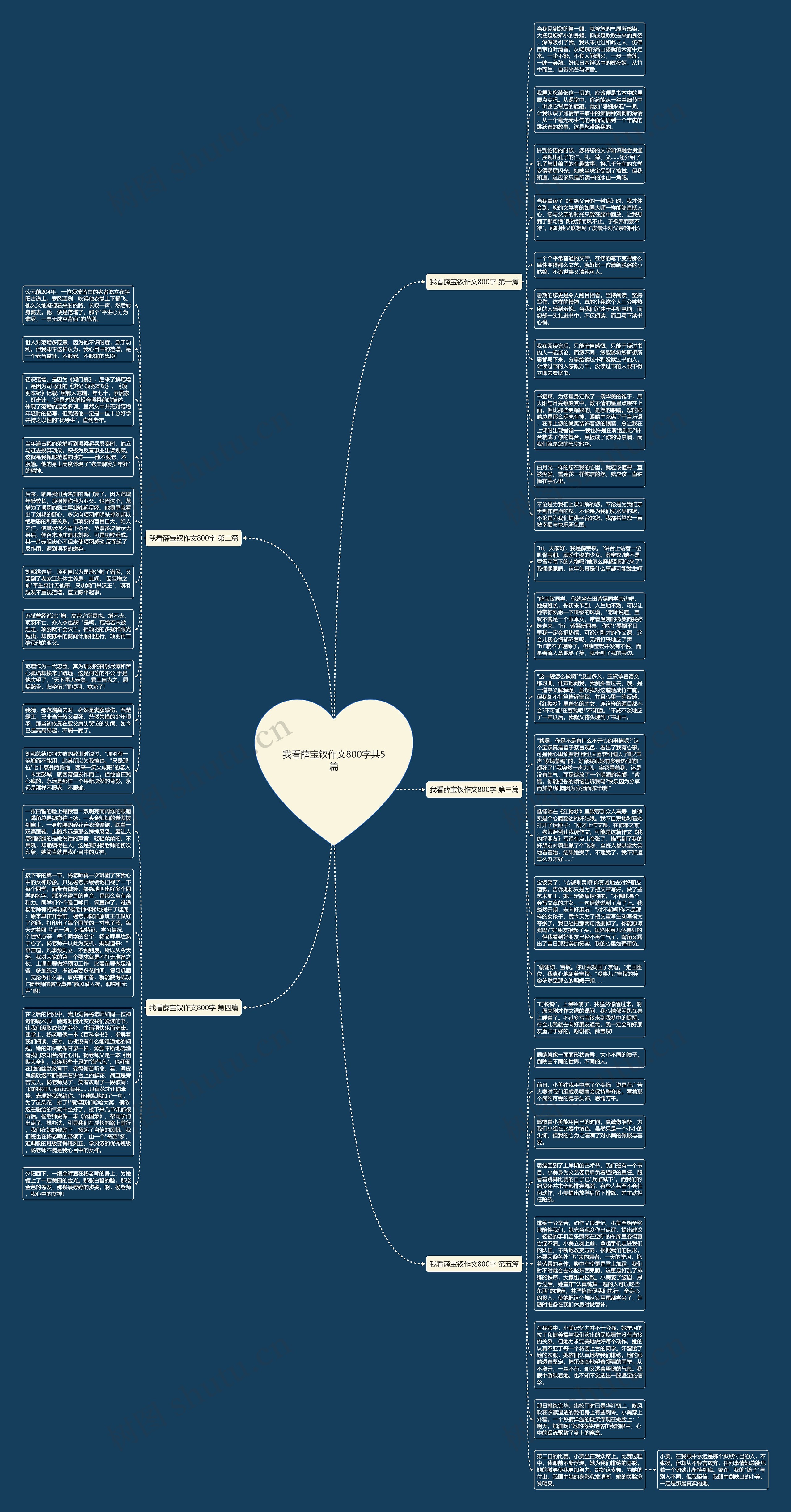 我看薛宝钗作文800字共5篇思维导图