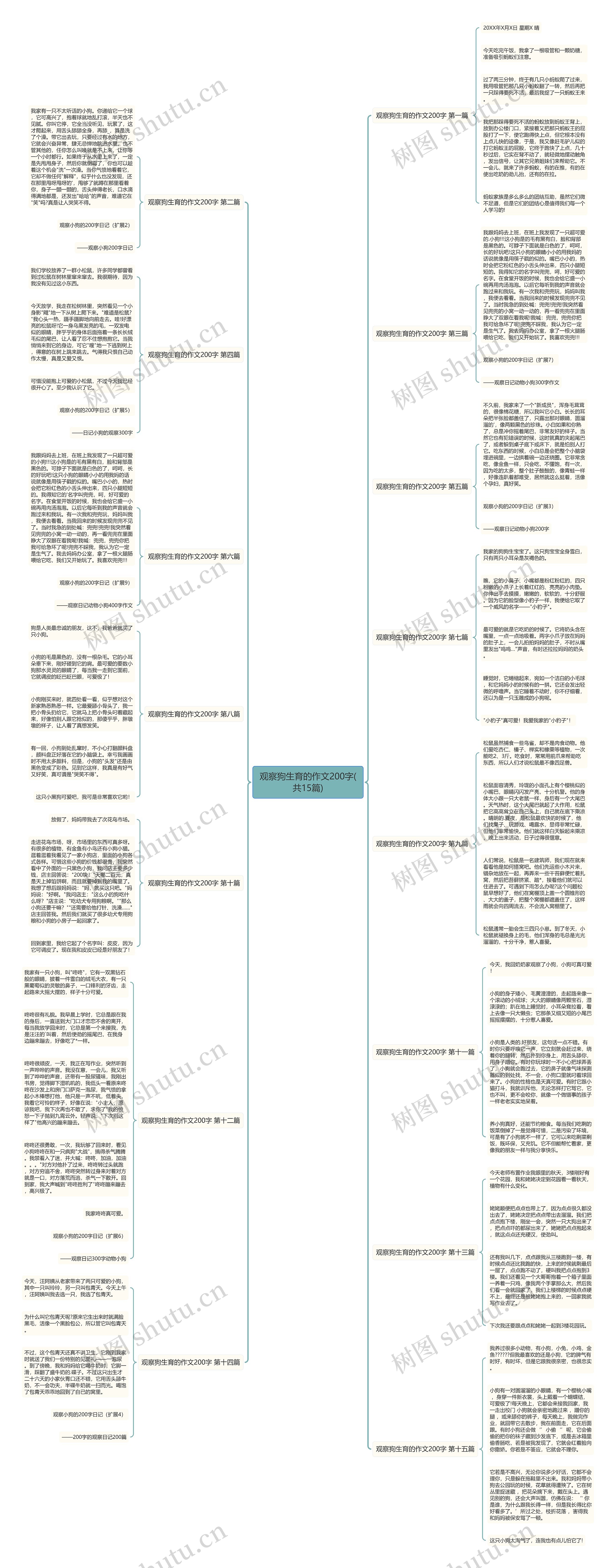 观察狗生育的作文200字(共15篇)思维导图
