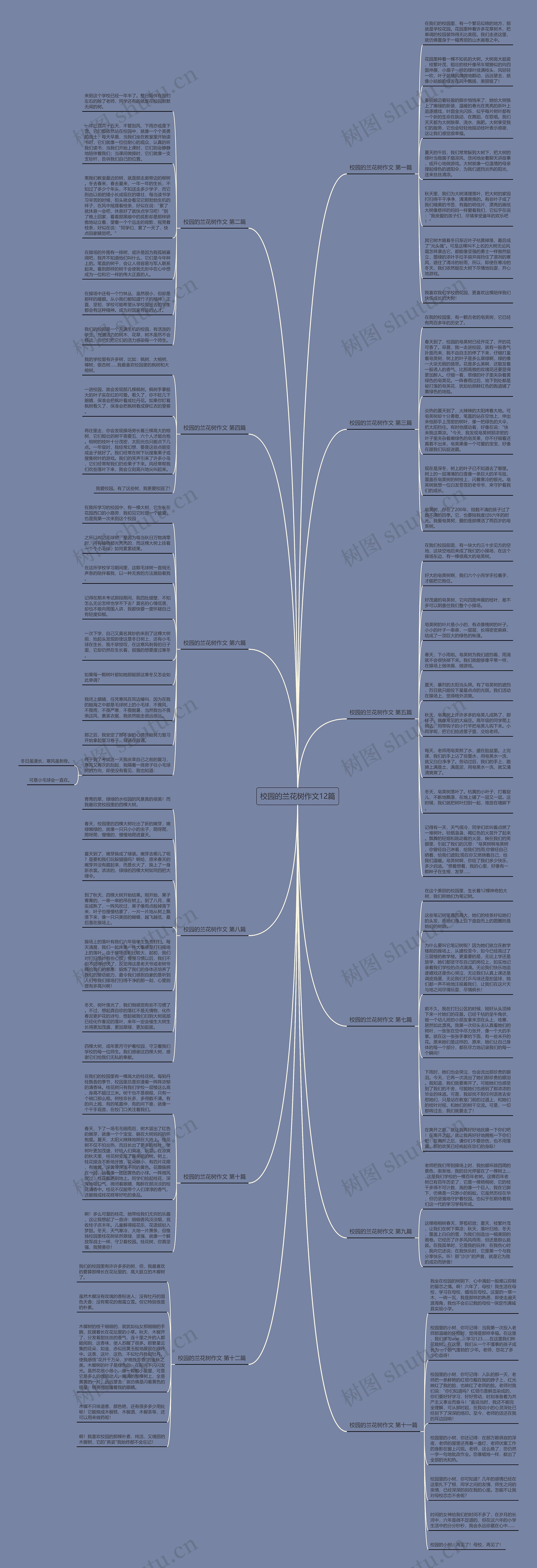 校园的兰花树作文12篇思维导图
