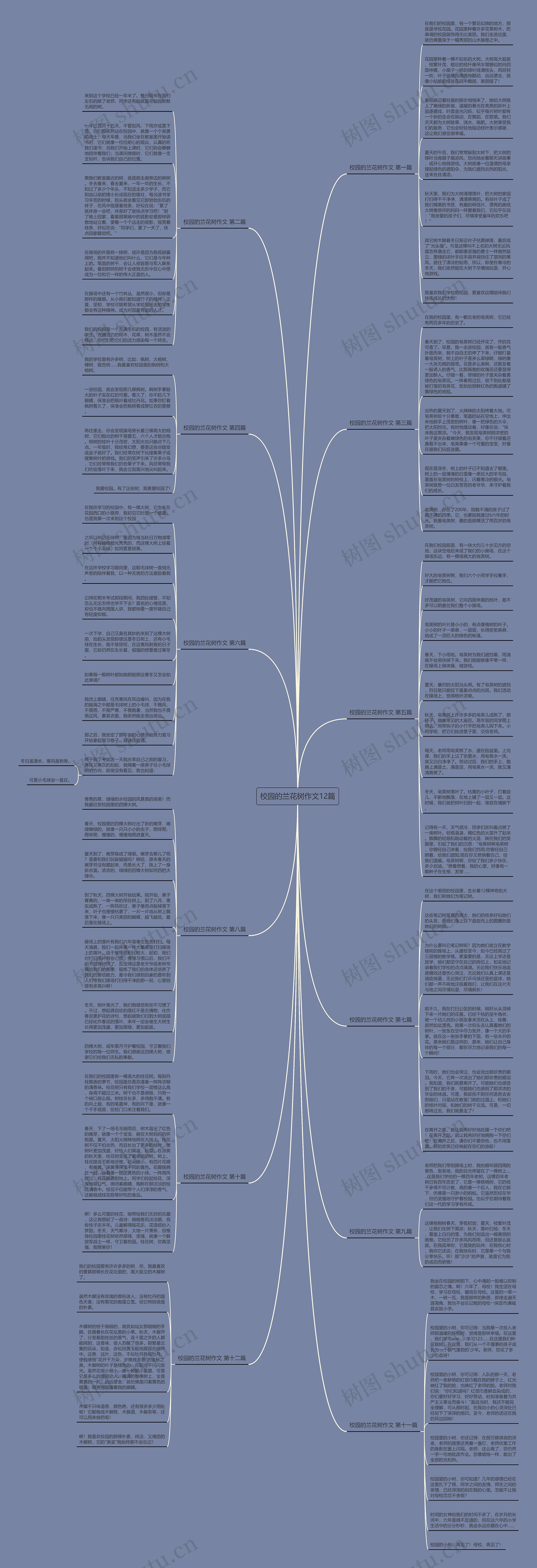 校园的兰花树作文12篇思维导图高清图 校园的兰花树作文12篇思维导图