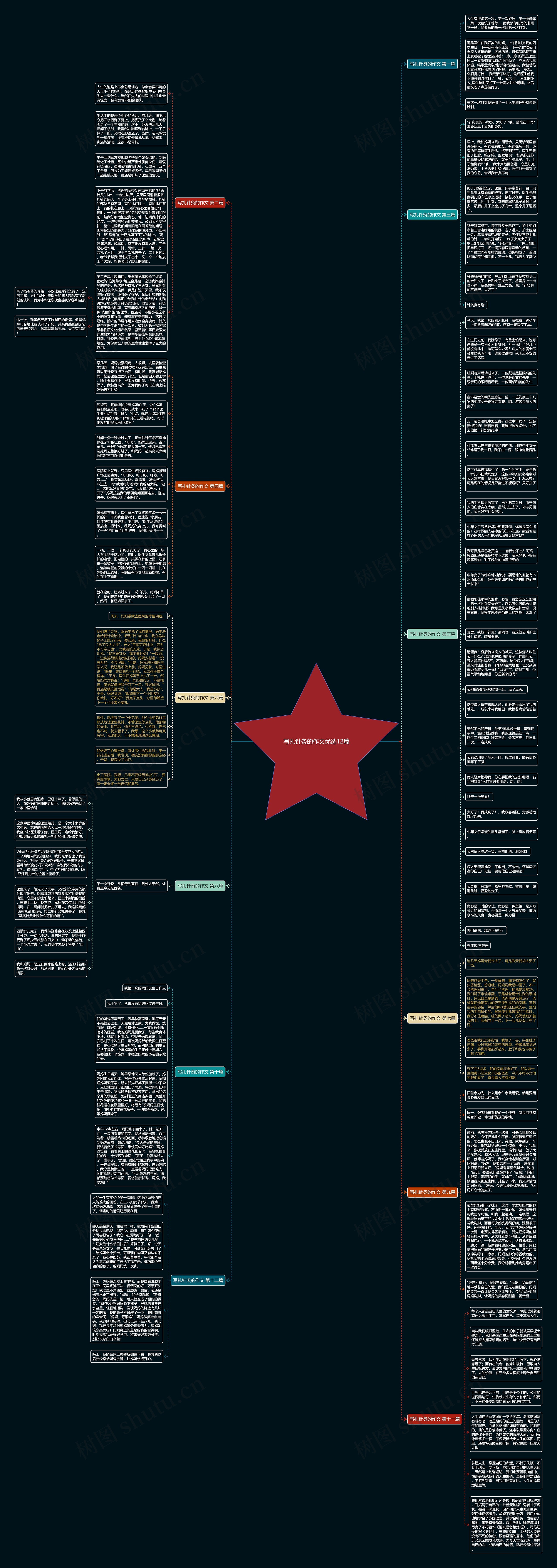写扎针灸的作文优选12篇思维导图