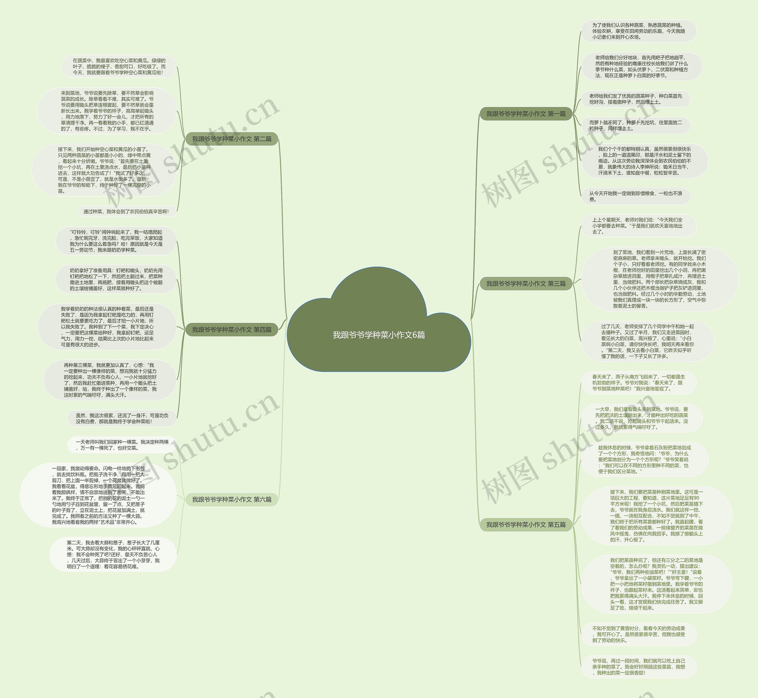 我跟爷爷学种菜小作文6篇思维导图