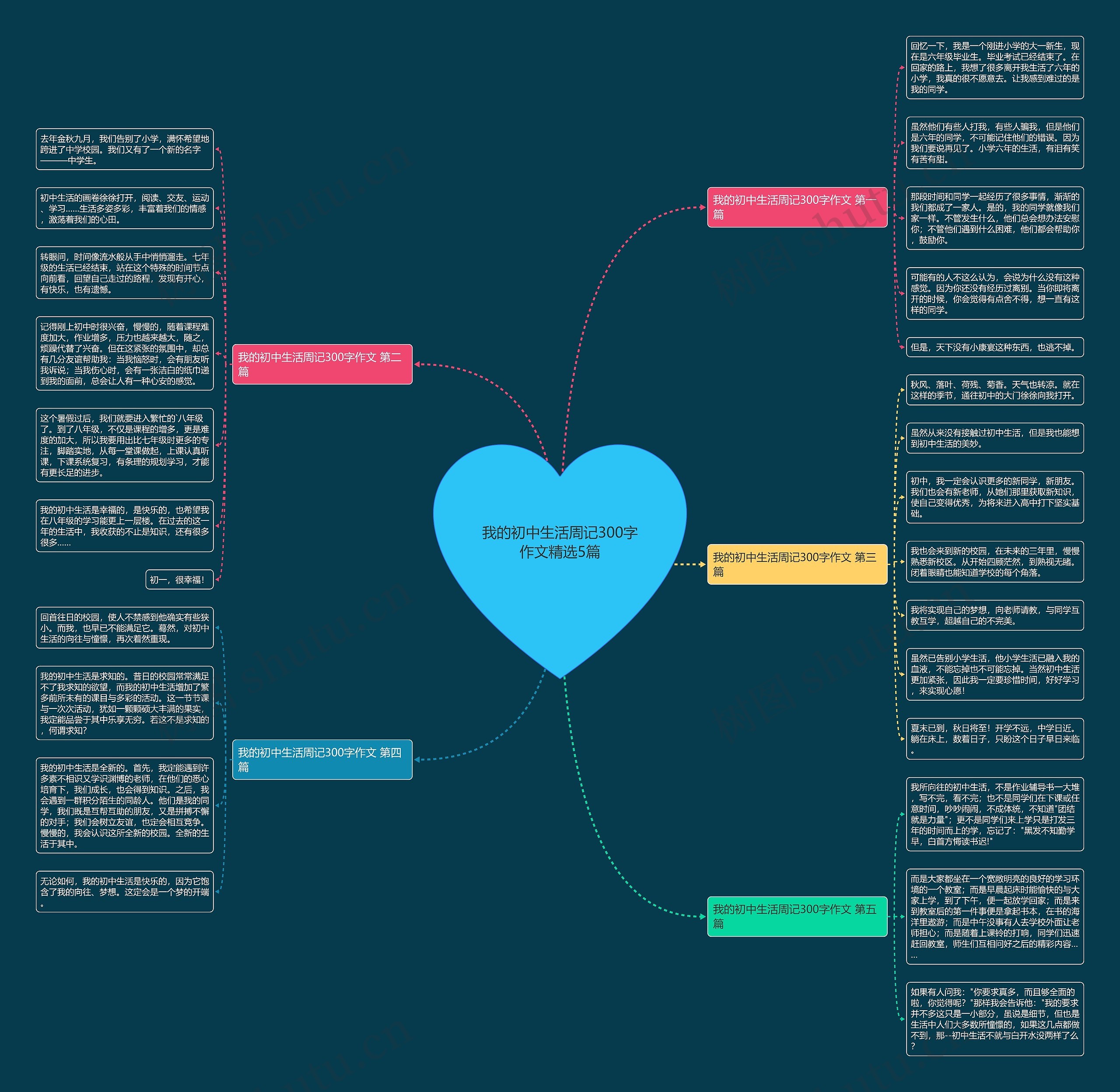我的初中生活周记300字作文精选5篇思维导图