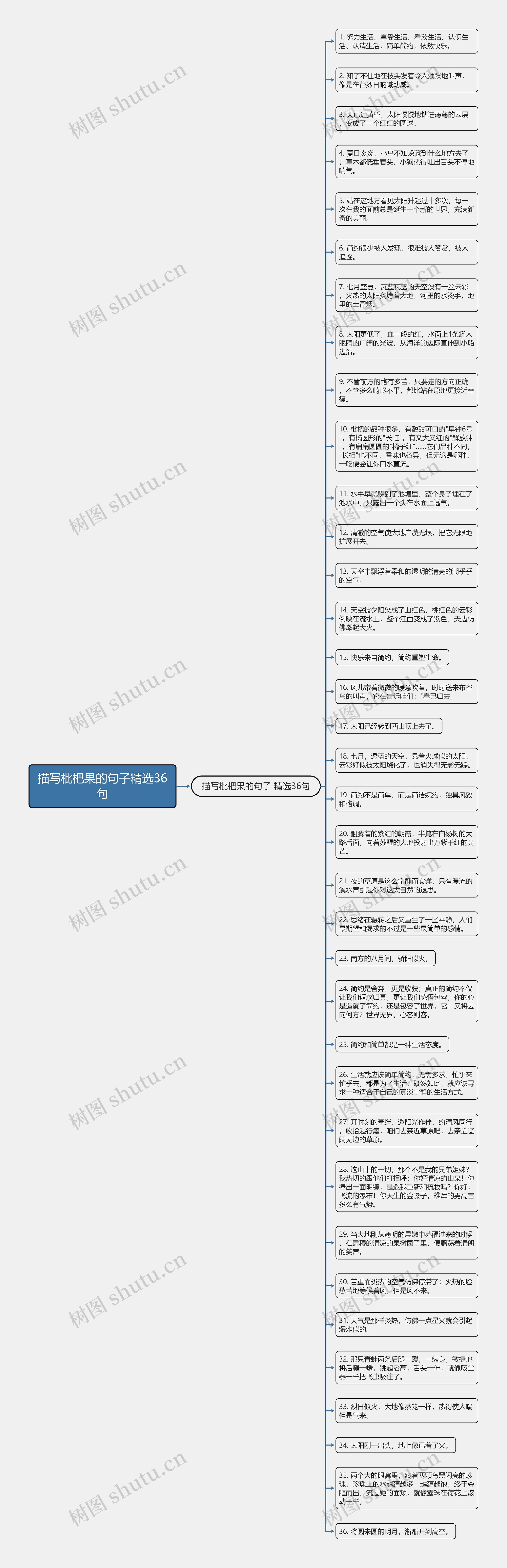 描写枇杷果的句子精选36句思维导图