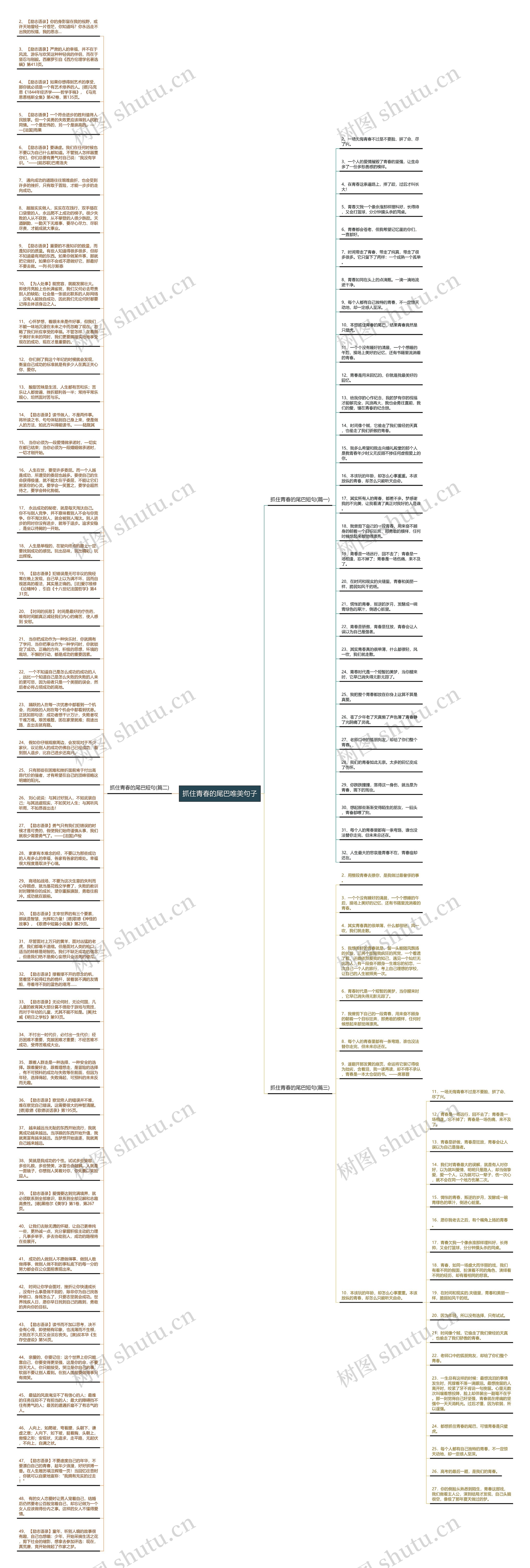 抓住青春的尾巴唯美句子思维导图