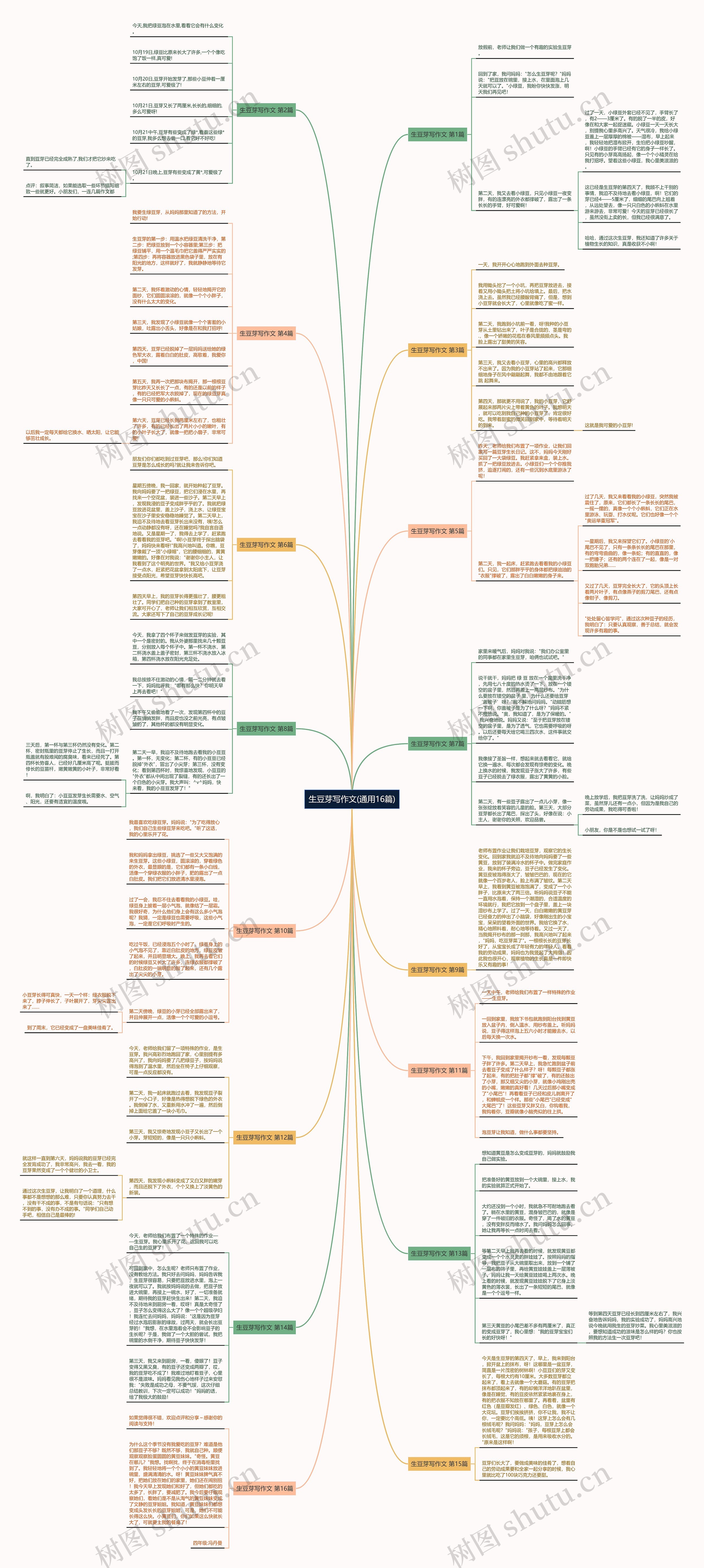 生豆芽写作文(通用16篇)思维导图