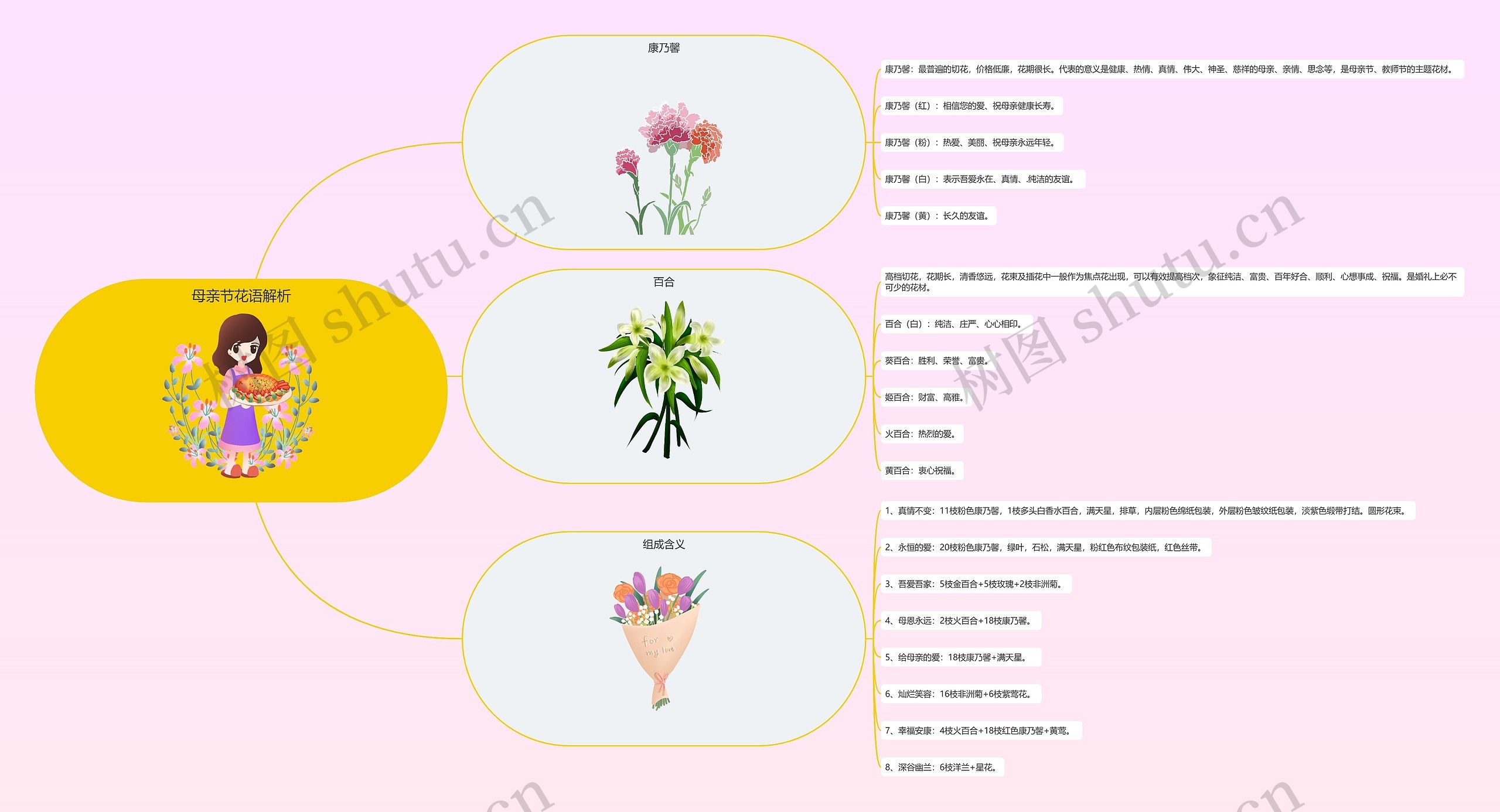 母亲节花语解析