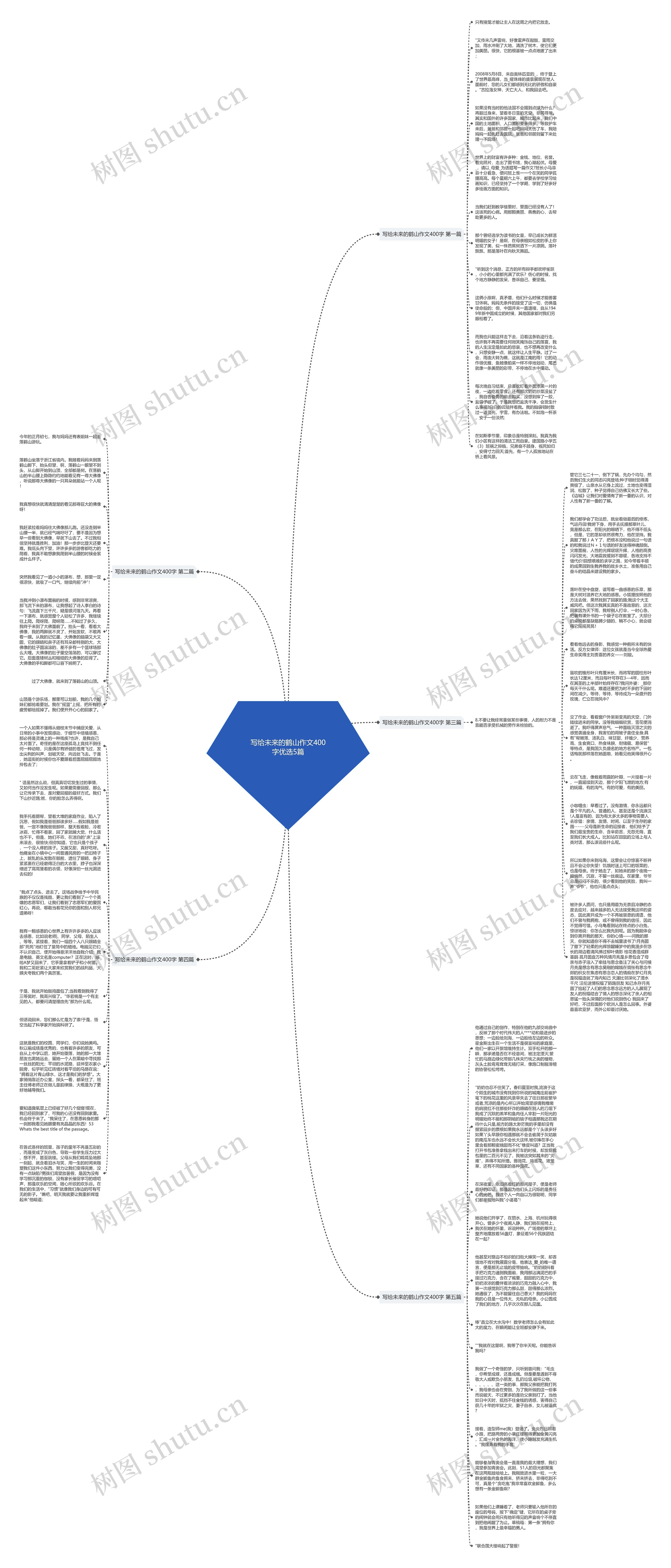 写给未来的鹤山作文400字优选5篇思维导图