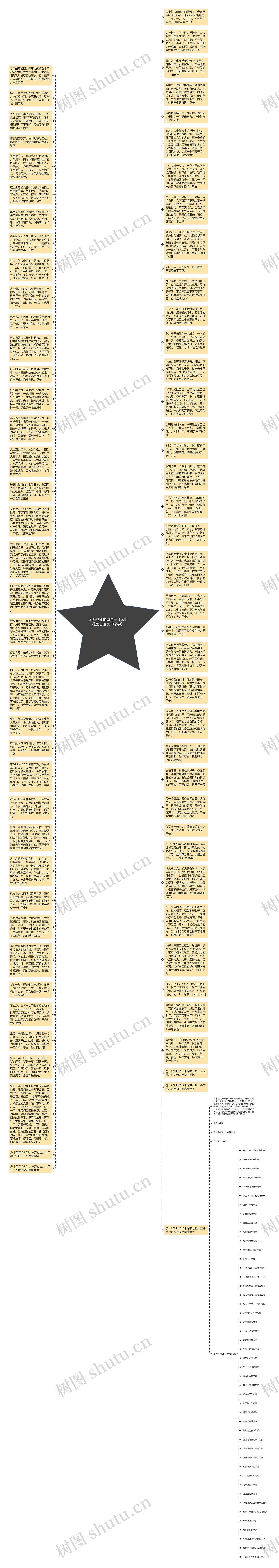 太阳花正能量句子【太阳花励志语录10个字】思维导图