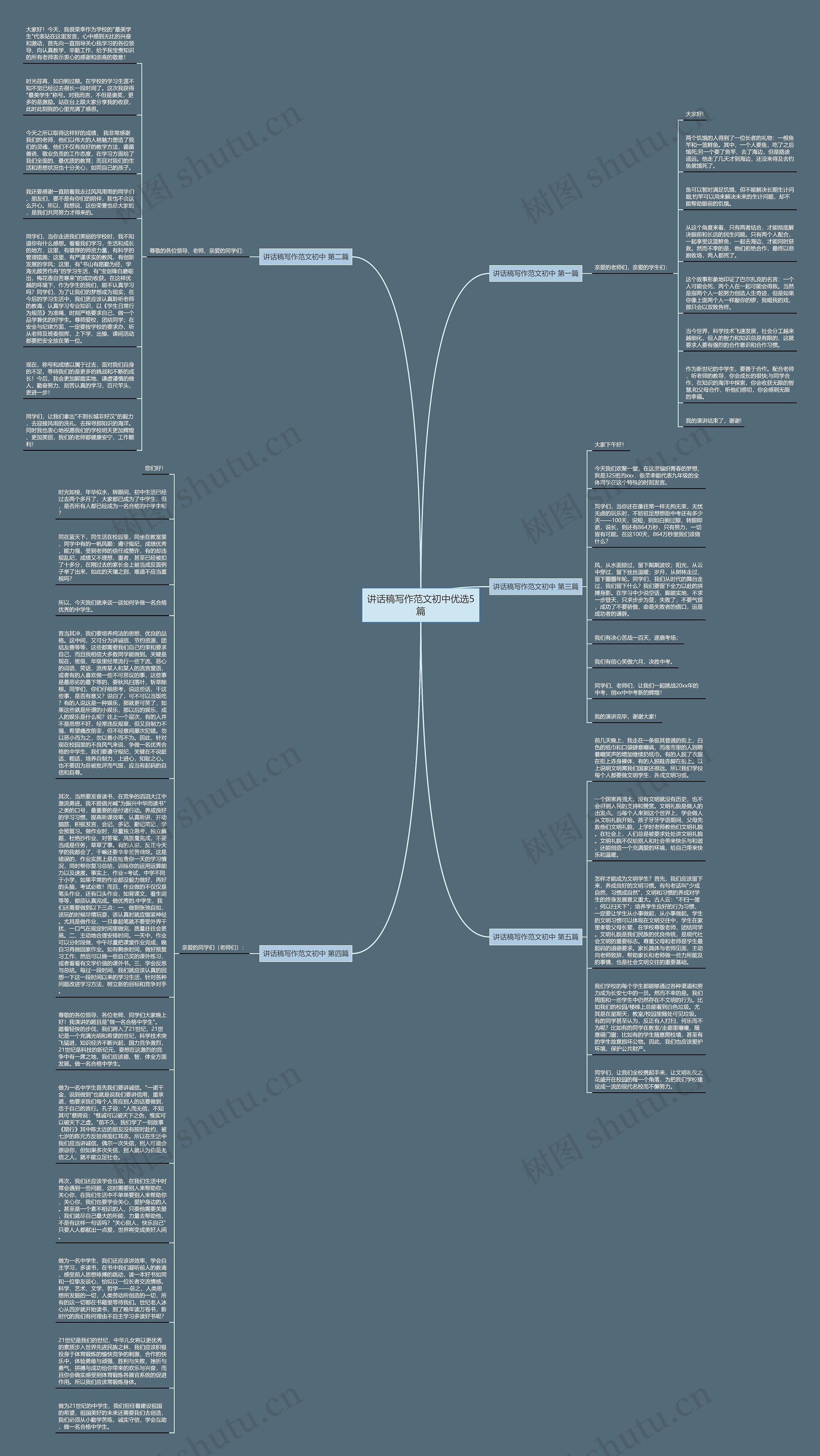 讲话稿写作范文初中优选5篇思维导图