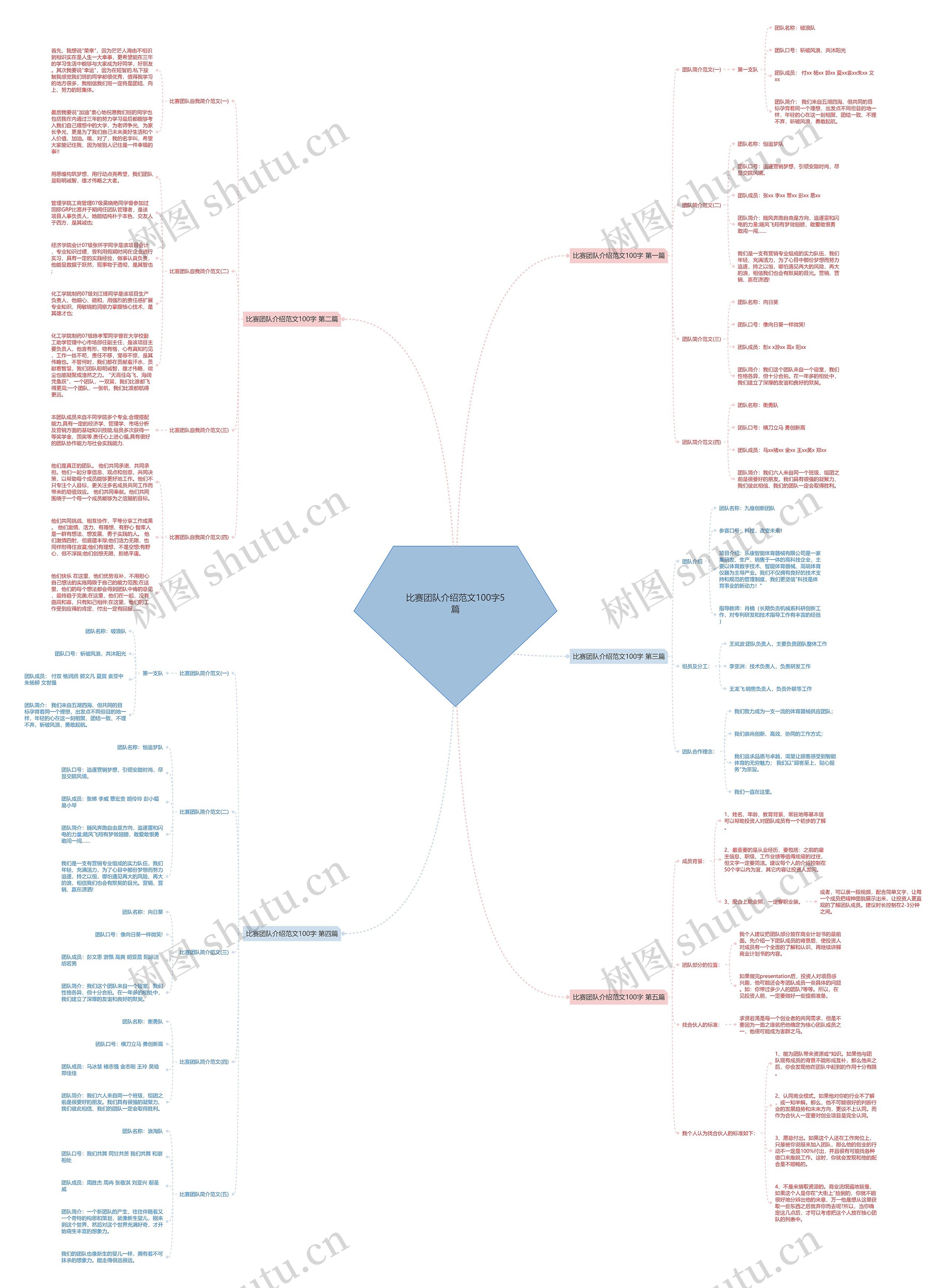 比赛团队介绍范文100字5篇思维导图