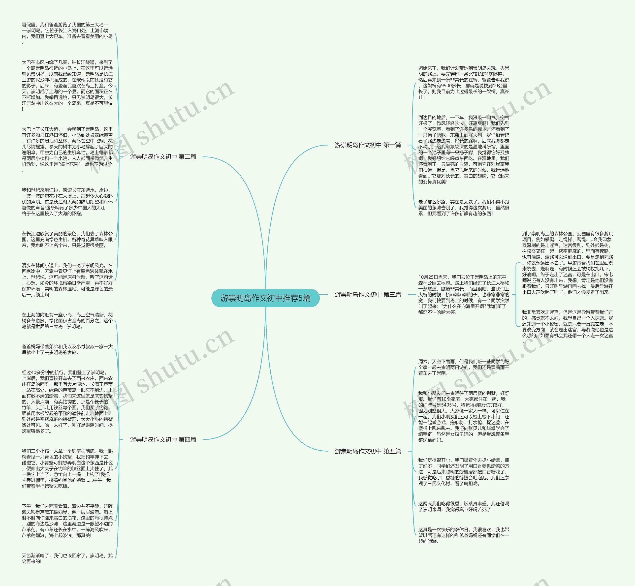游崇明岛作文初中推荐5篇思维导图