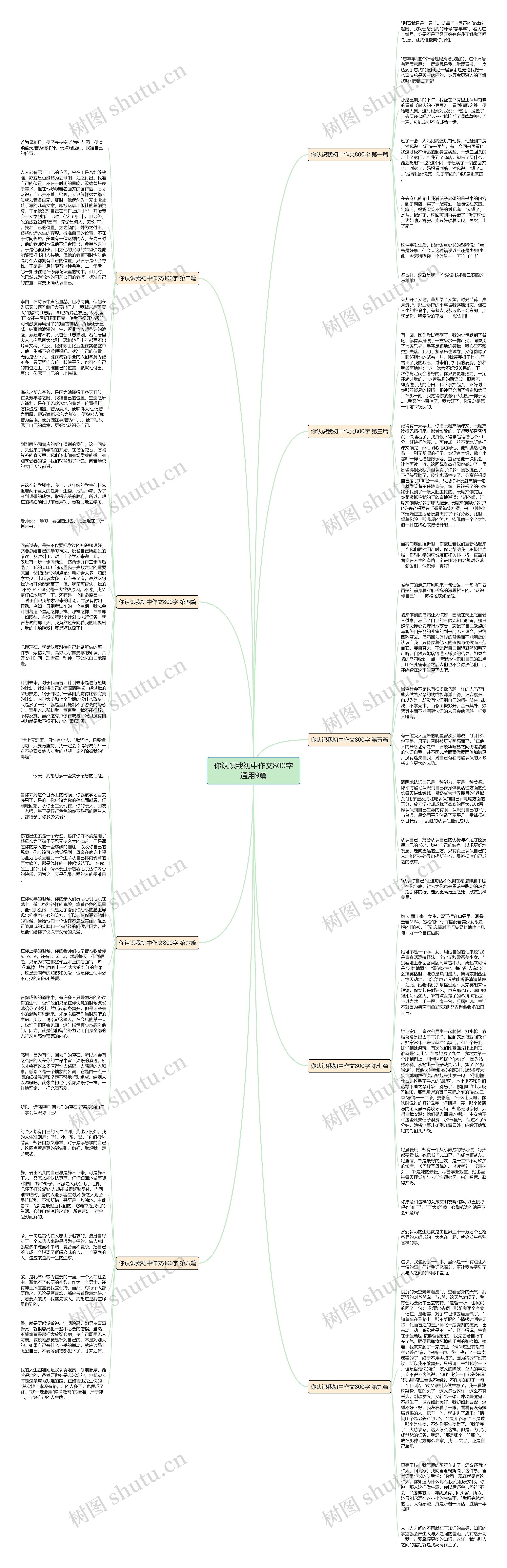 你认识我初中作文800字通用9篇思维导图