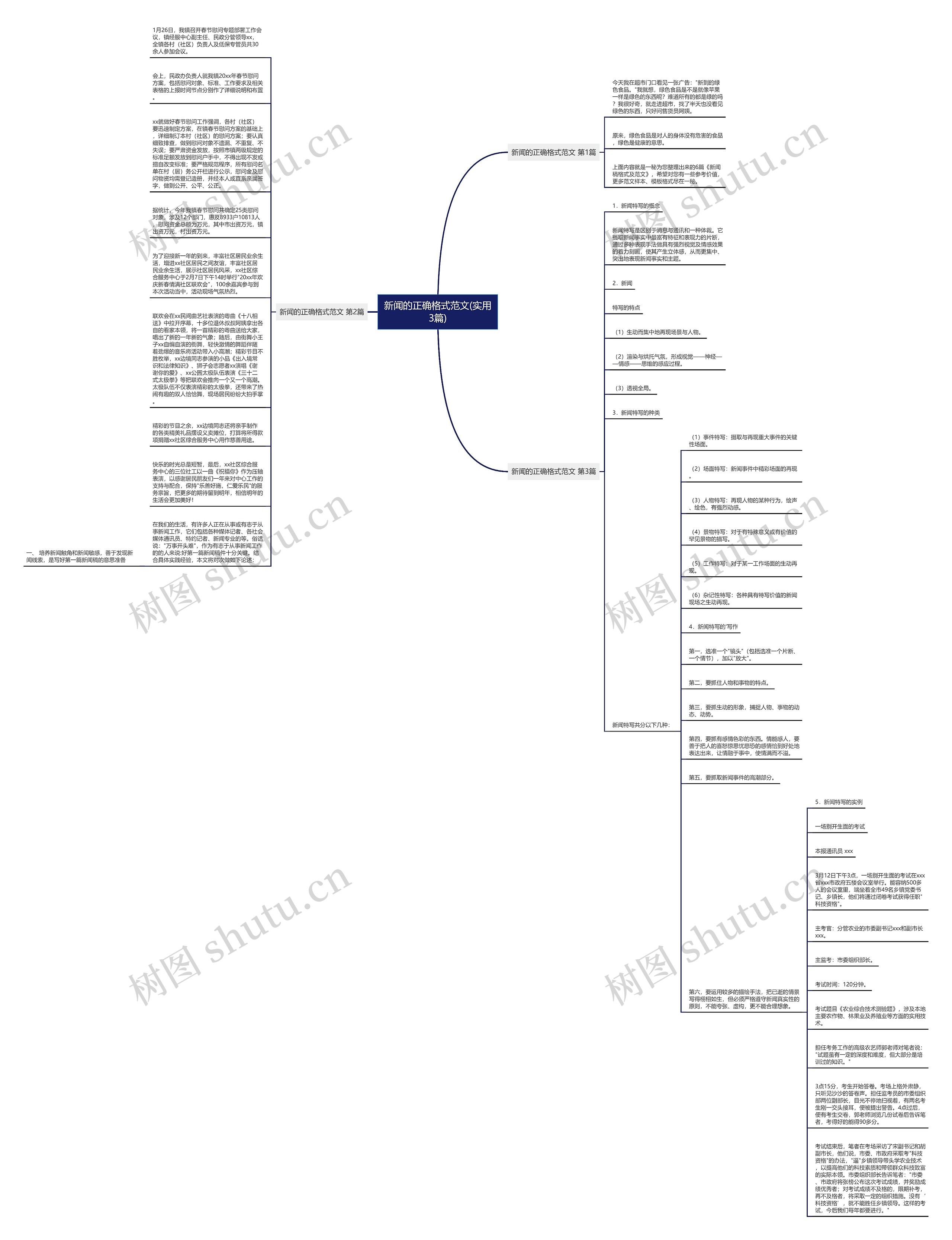 新闻的正确格式范文(实用3篇)思维导图