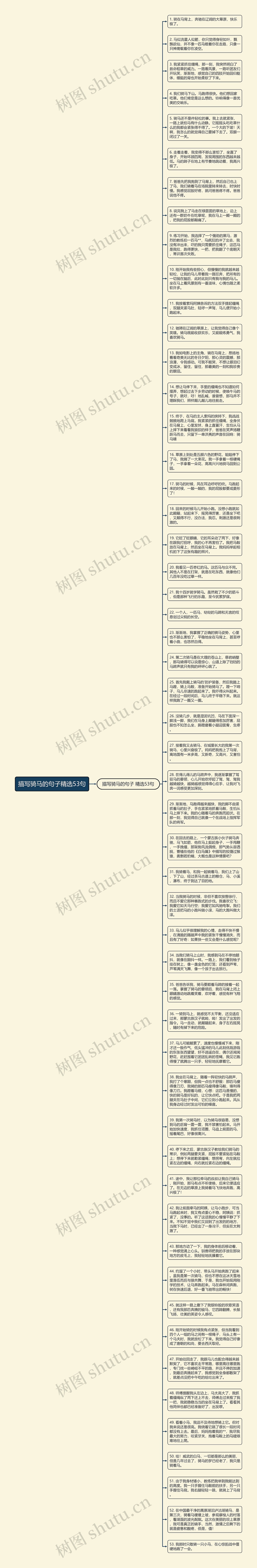 描写骑马的句子精选53句