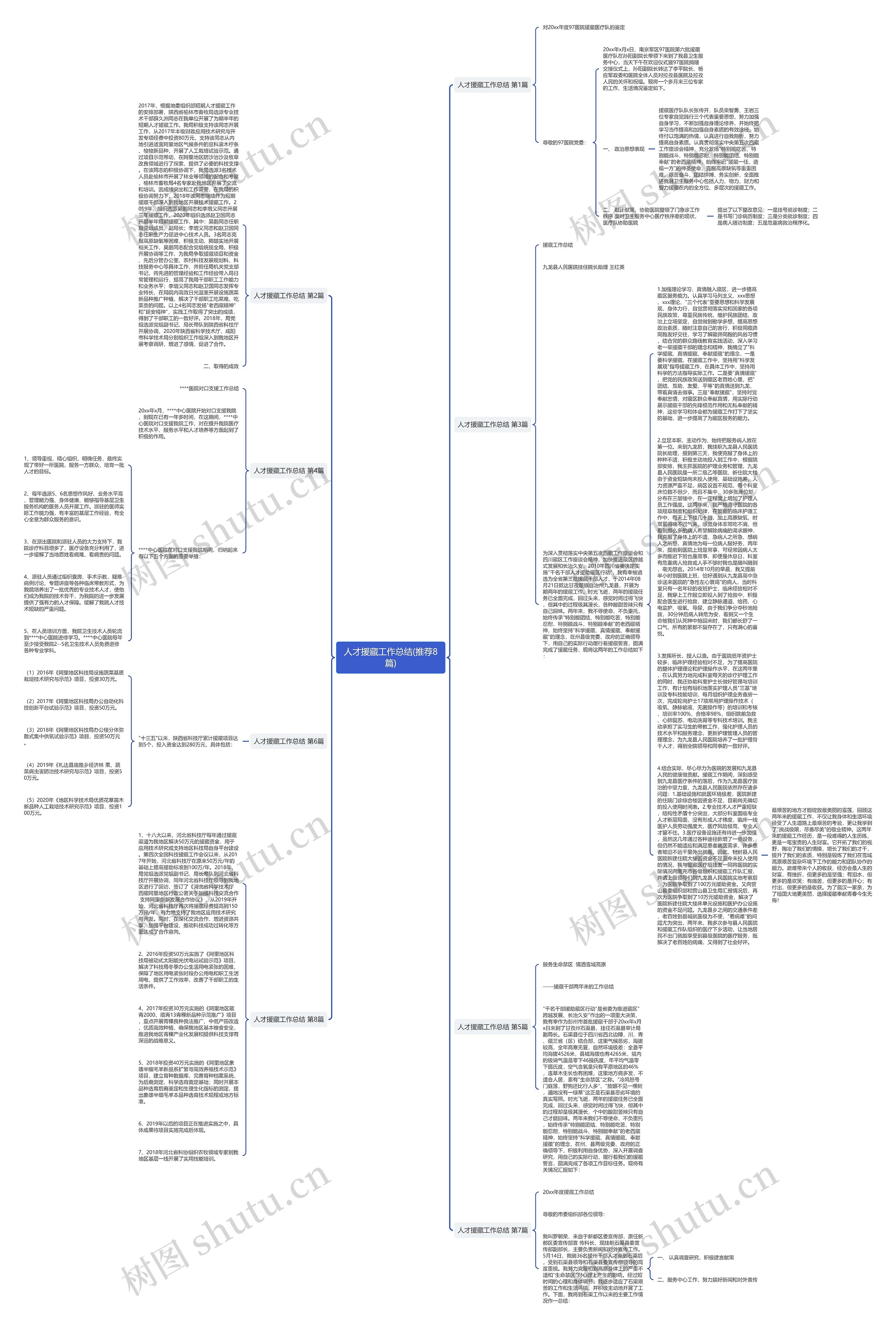 人才援藏工作总结(推荐8篇)思维导图