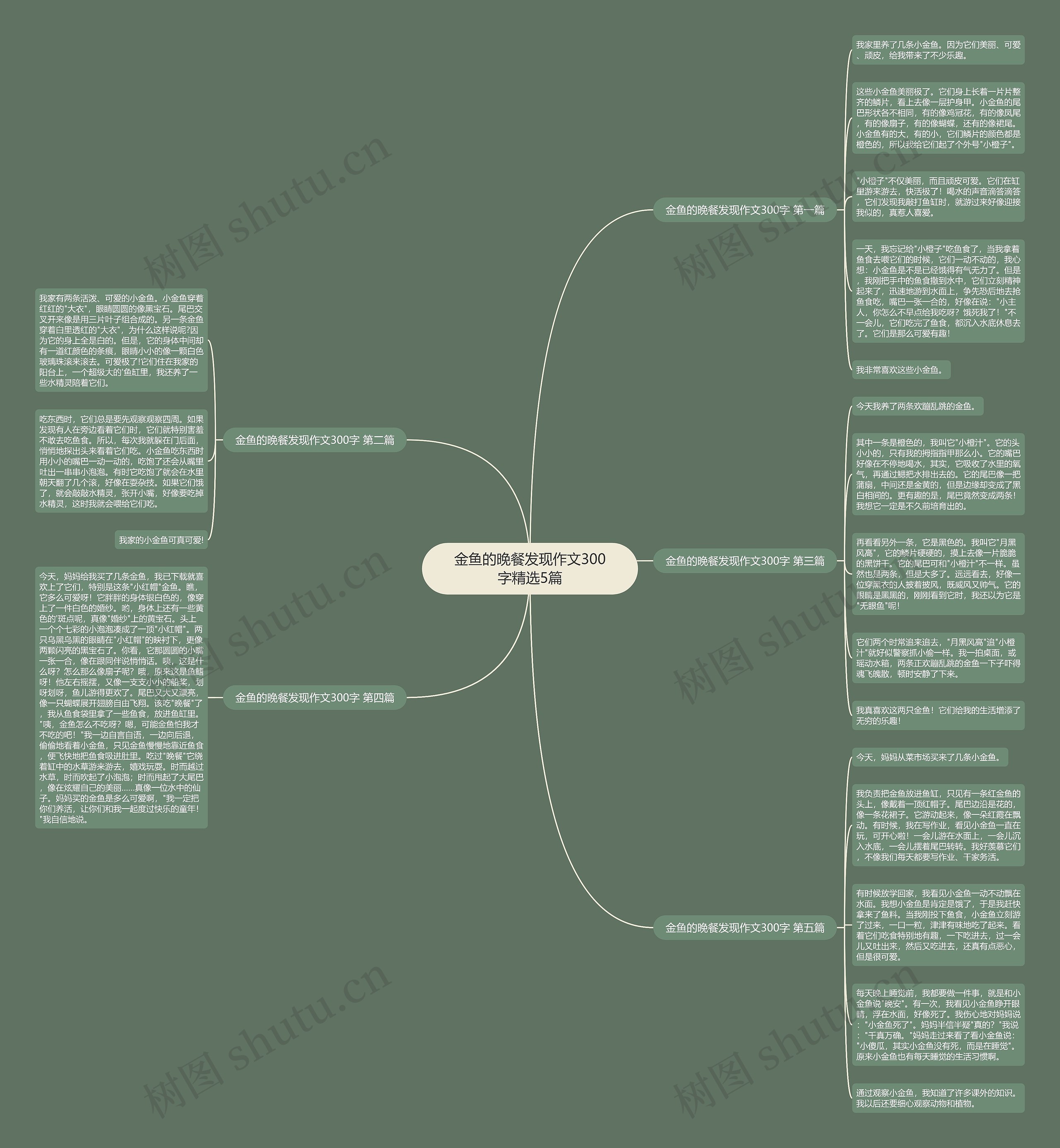 金鱼的晚餐发现作文300字精选5篇 金鱼的晚餐发现作文300字精选5篇