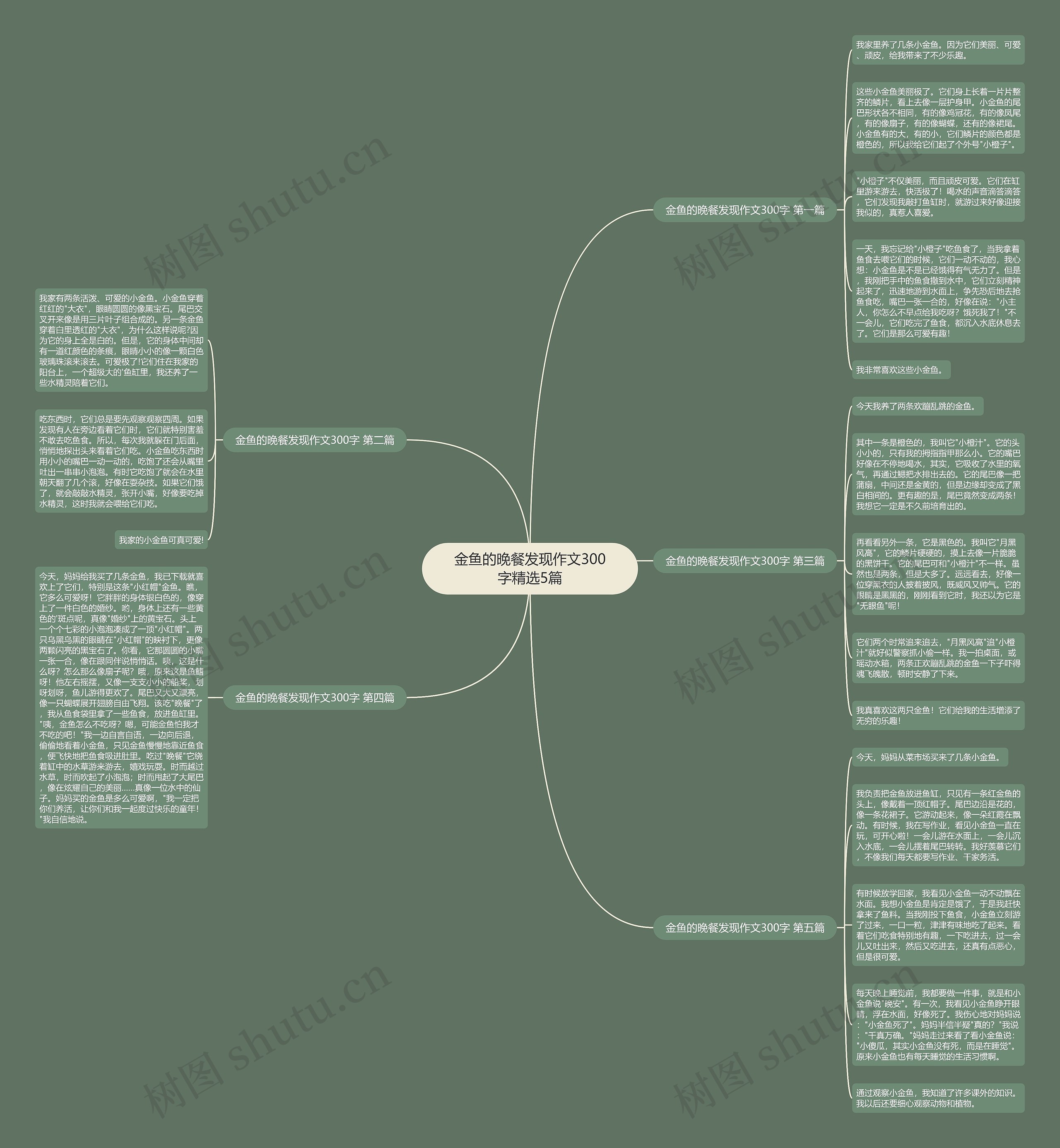 金鱼的晚餐发现作文300字精选5篇思维导图