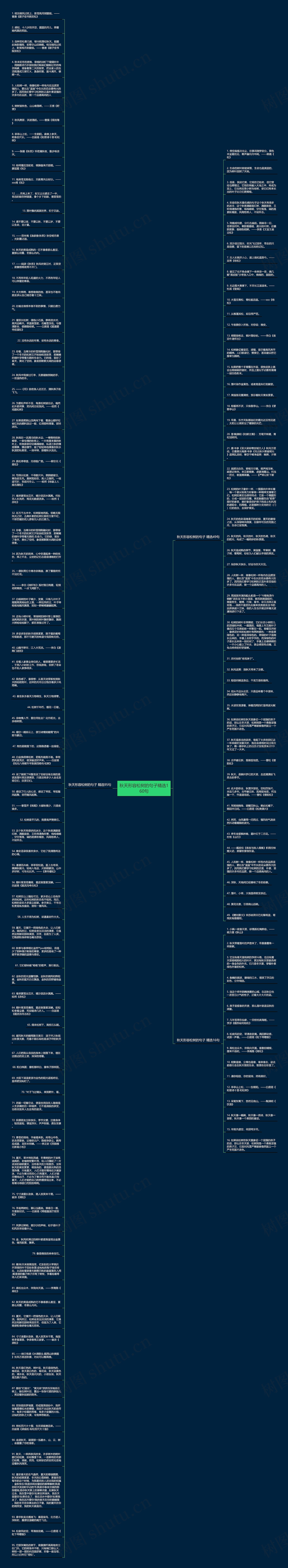 秋天形容松树的句子精选160句思维导图