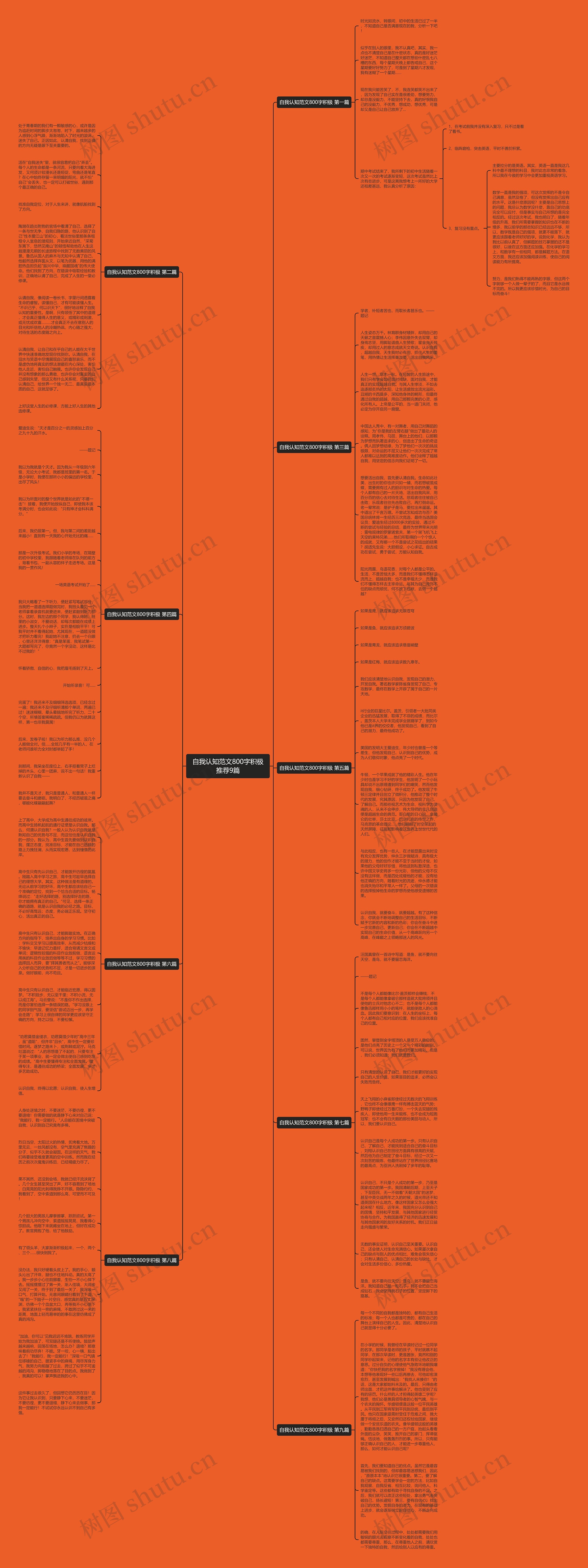 自我认知范文800字积极推荐9篇思维导图