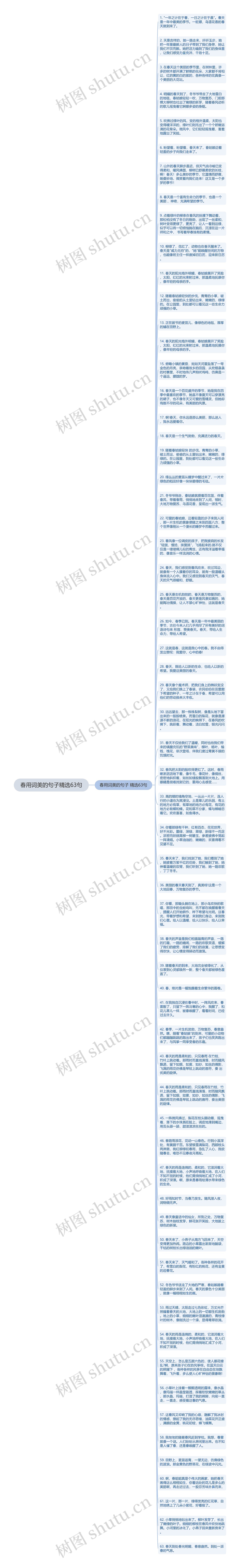 春用词美的句子精选63句思维导图