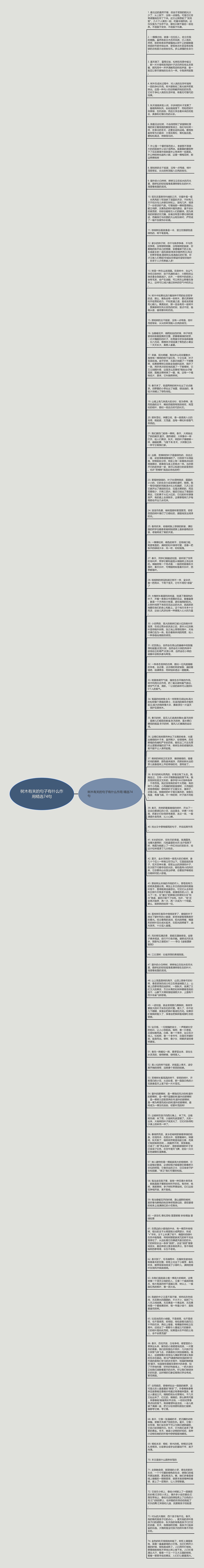 树木有关的句子有什么作用精选74句思维导图