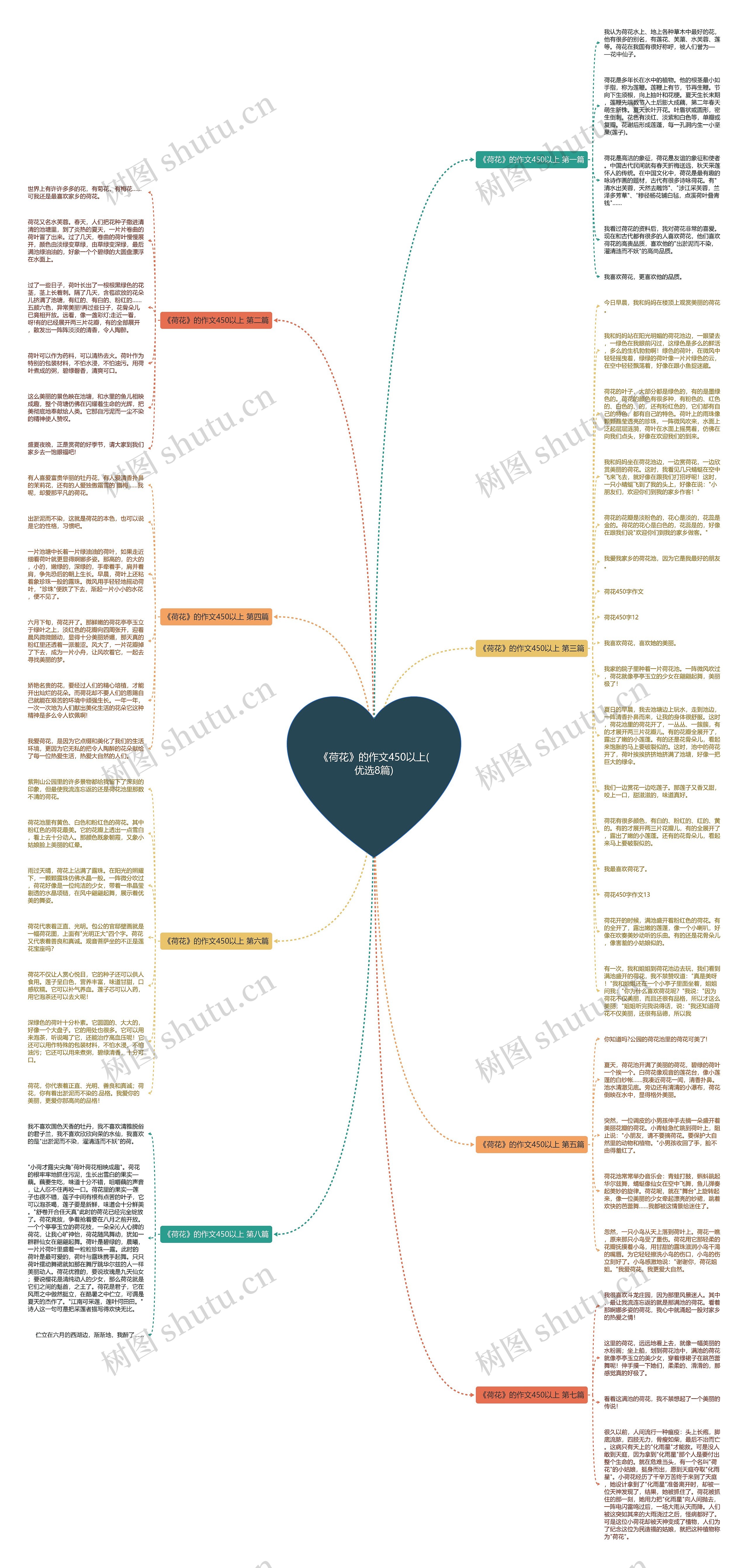 《荷花》的作文450以上(优选8篇)思维导图
