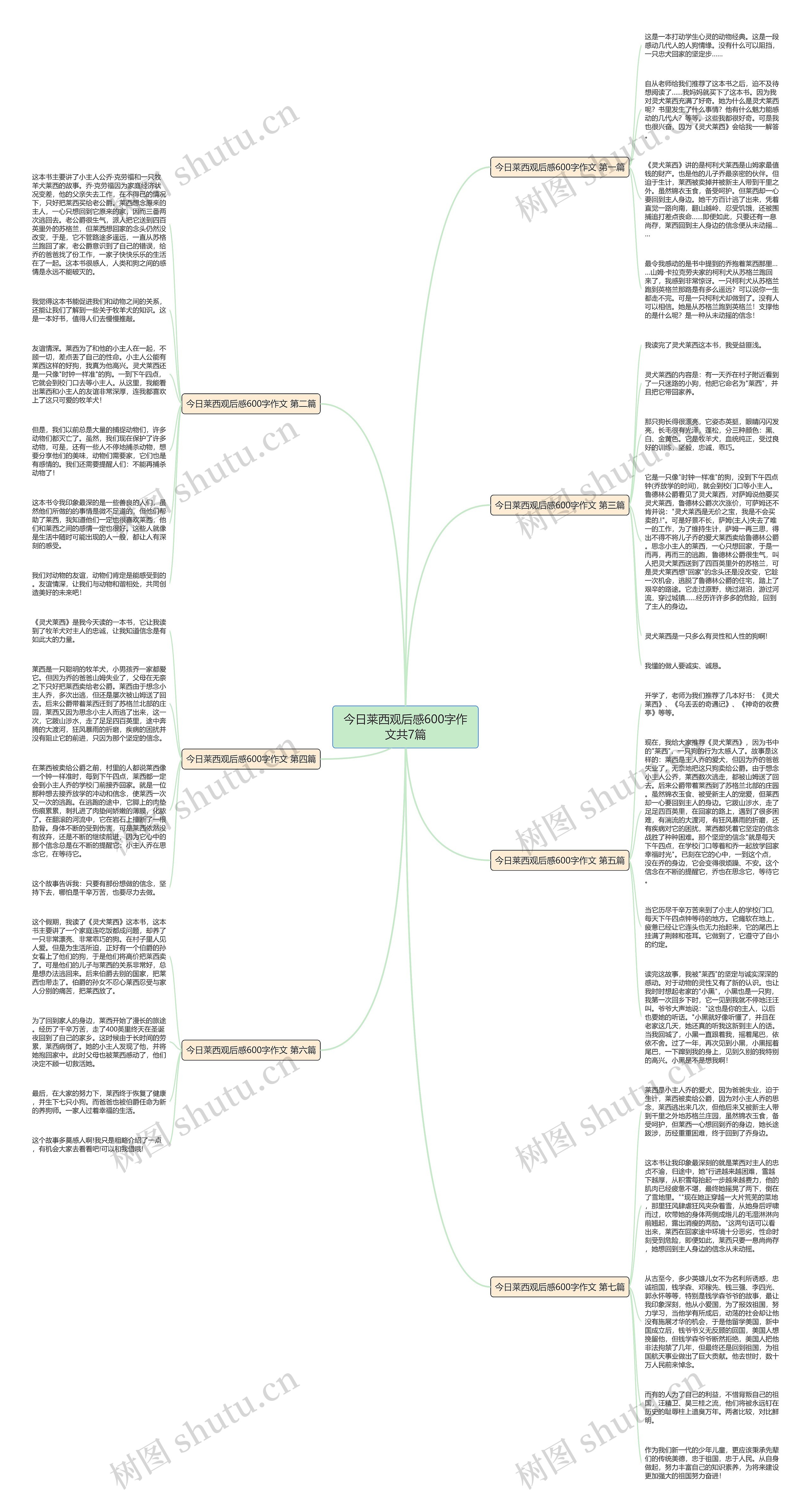 今日莱西观后感600字作文共7篇思维导图