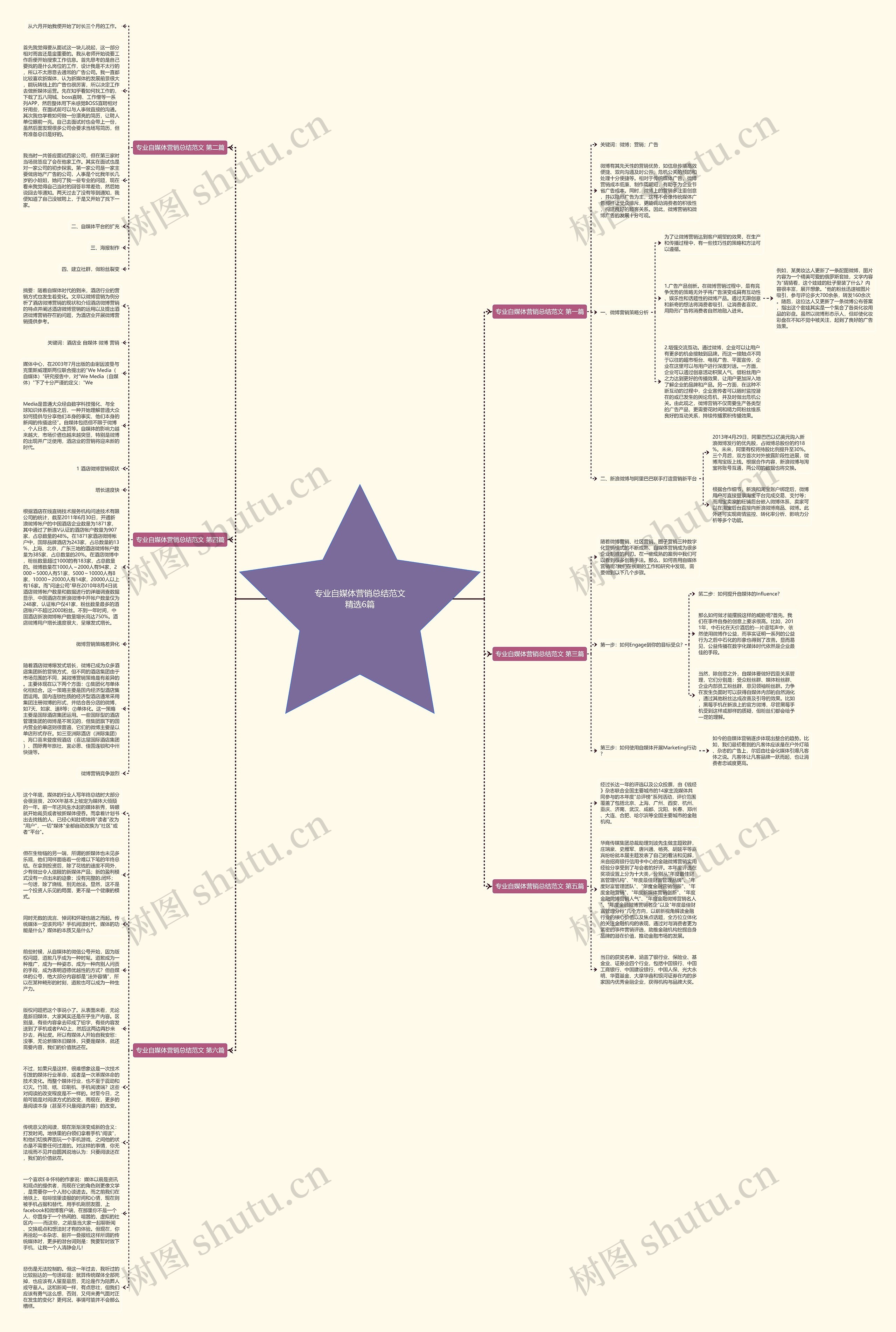 专业自媒体营销总结范文精选6篇思维导图