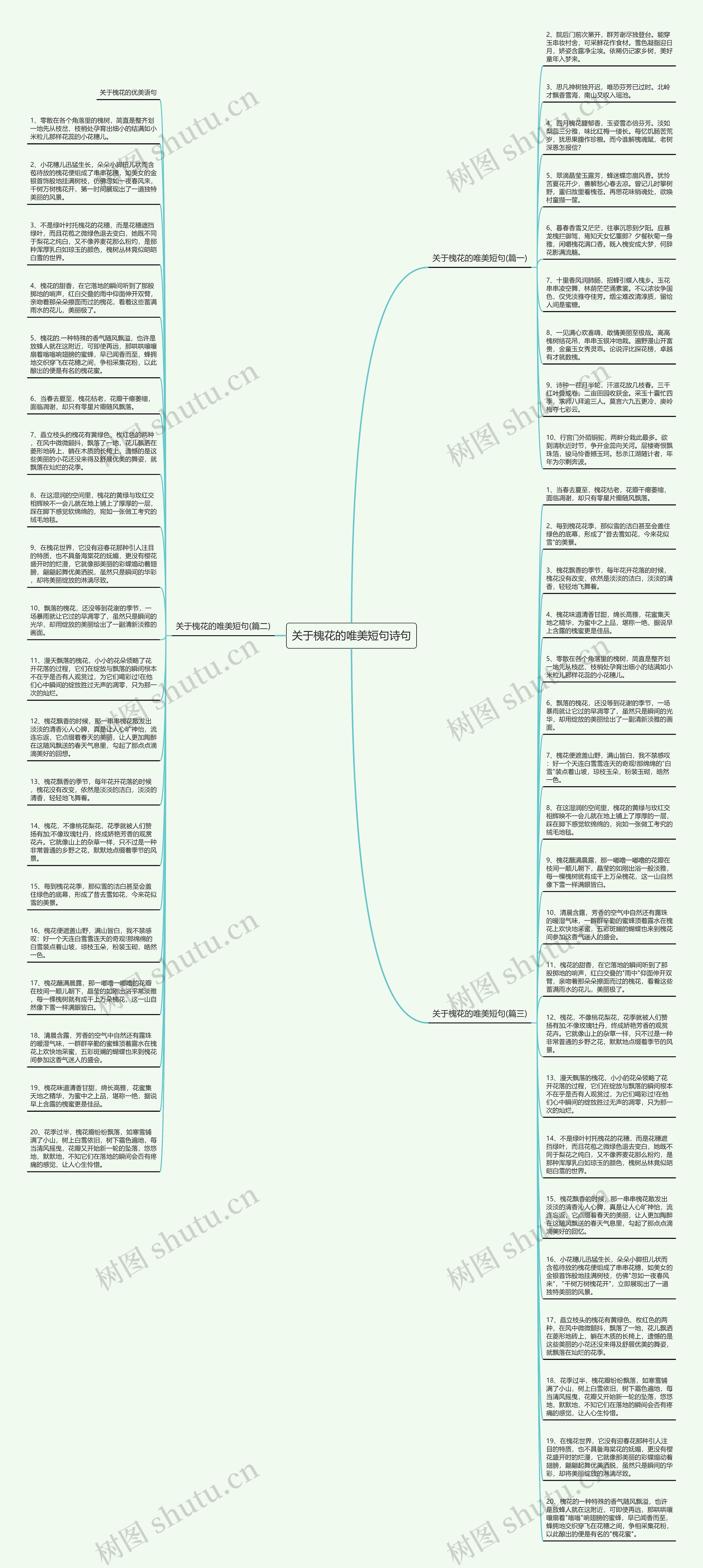 关于槐花的唯美短句诗句思维导图
