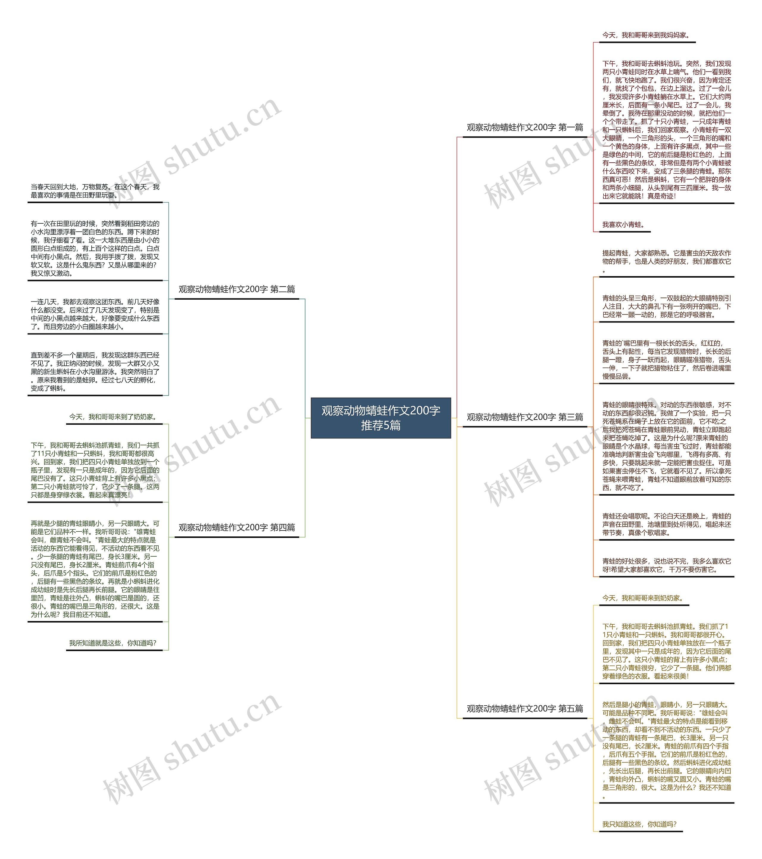 观察动物蜻蛙作文200字推荐5篇 观察动物蜻蛙作文200字推荐5篇