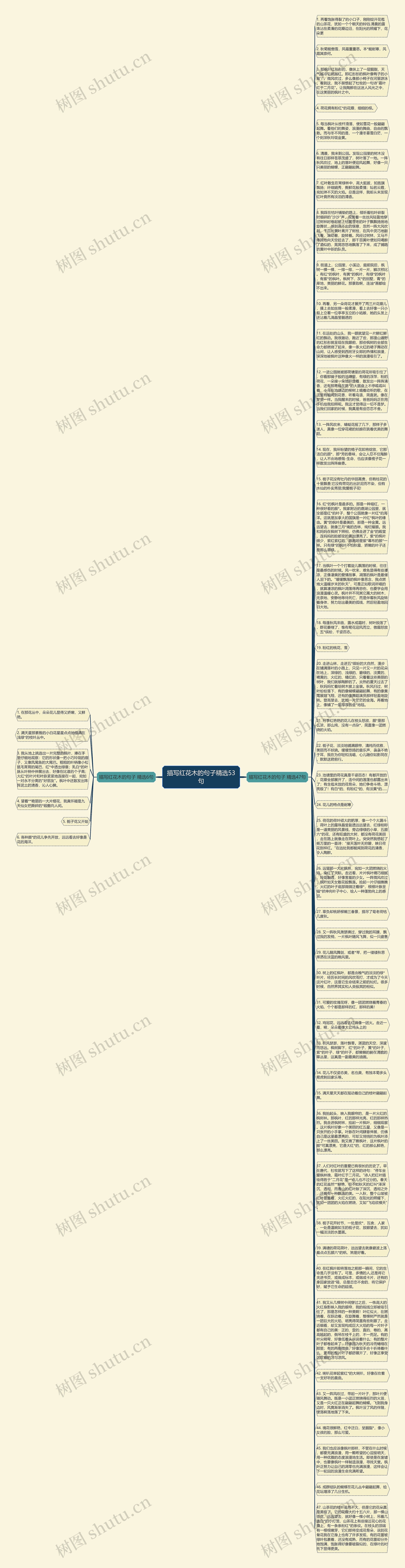 描写红花木的句子精选53句思维导图